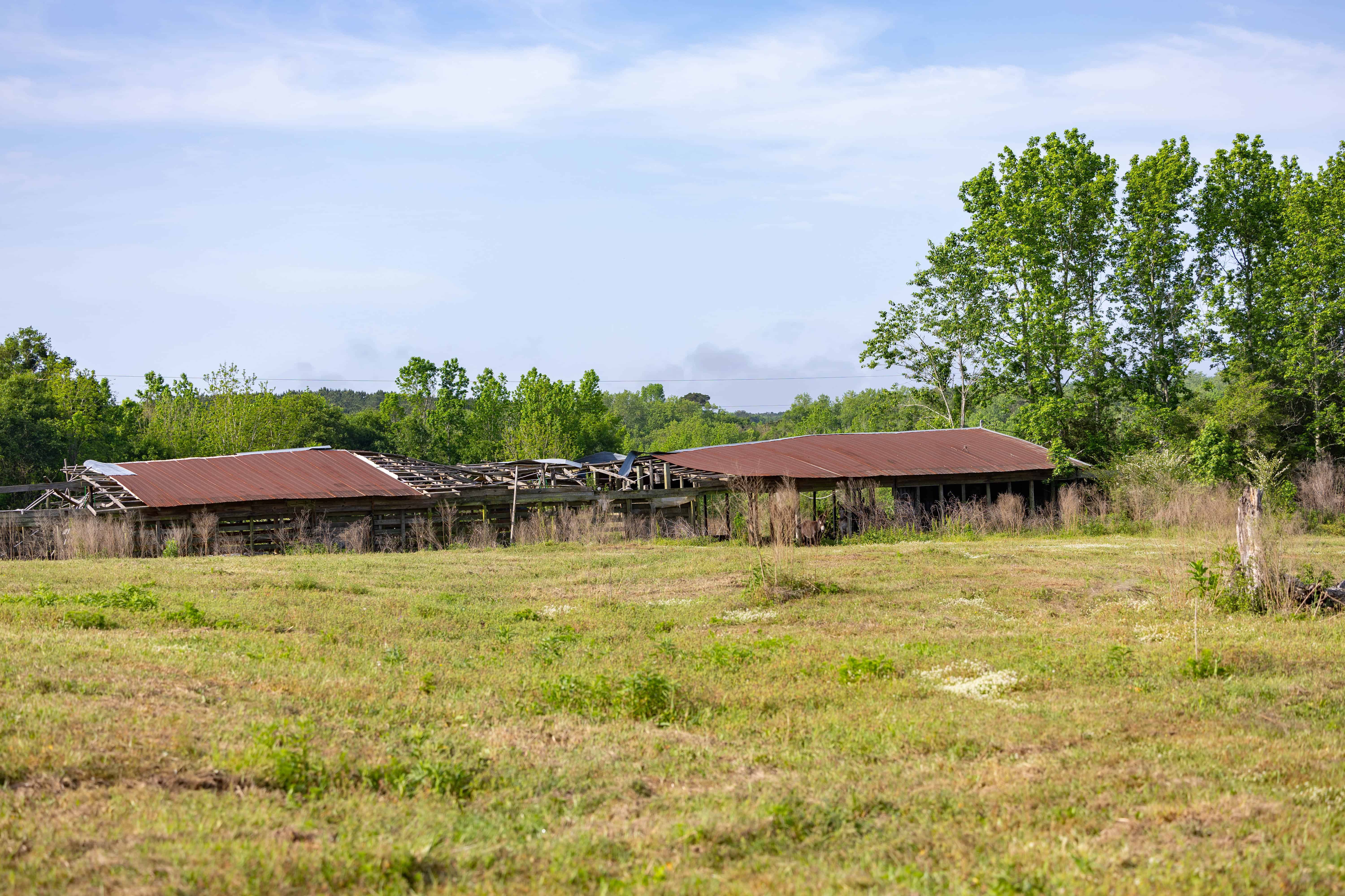 County Road 663 Coffee Springs AL 36318