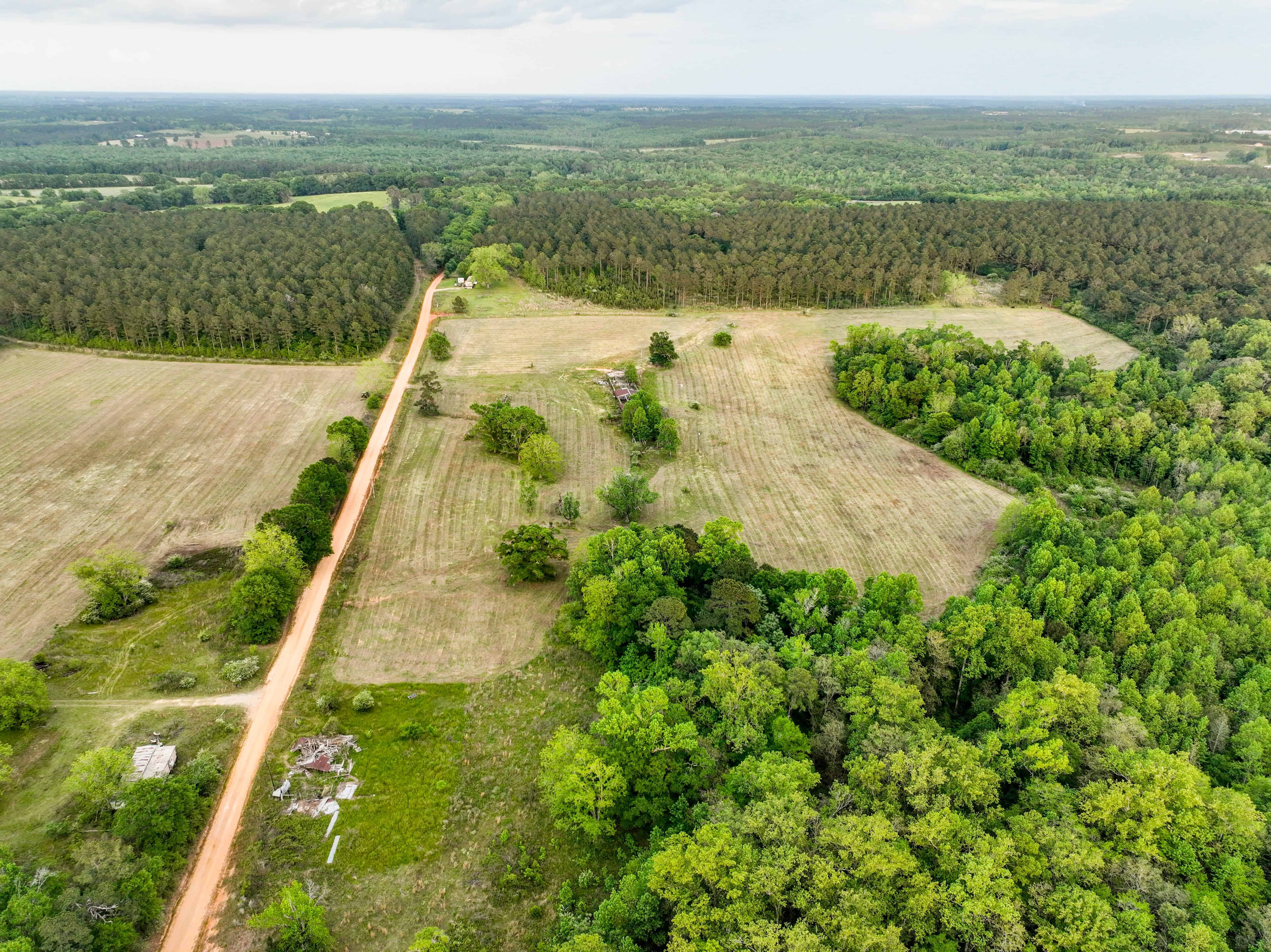 County Road 663 Coffee Springs AL 36318