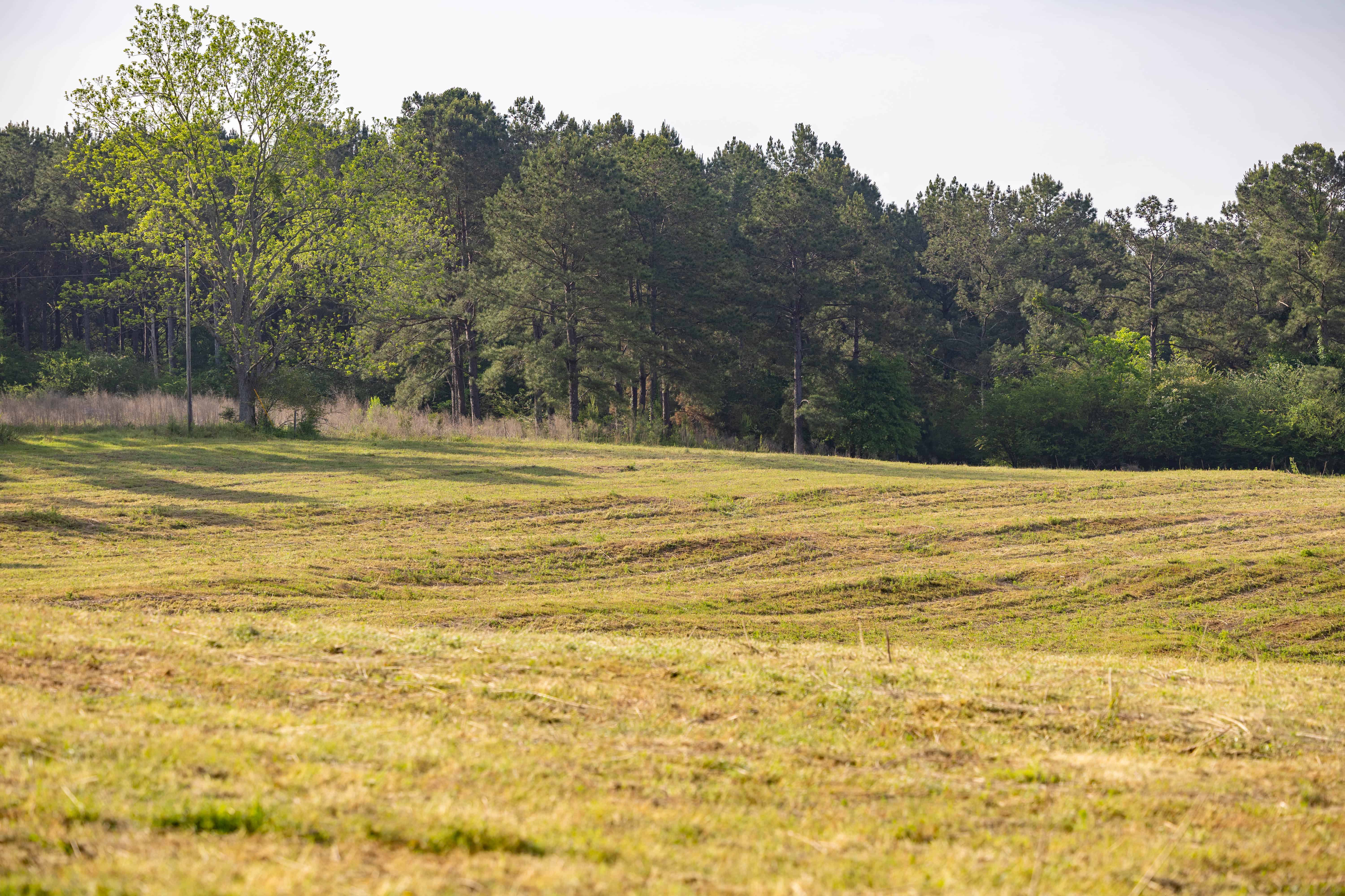 County Road 663 Coffee Springs AL 36318