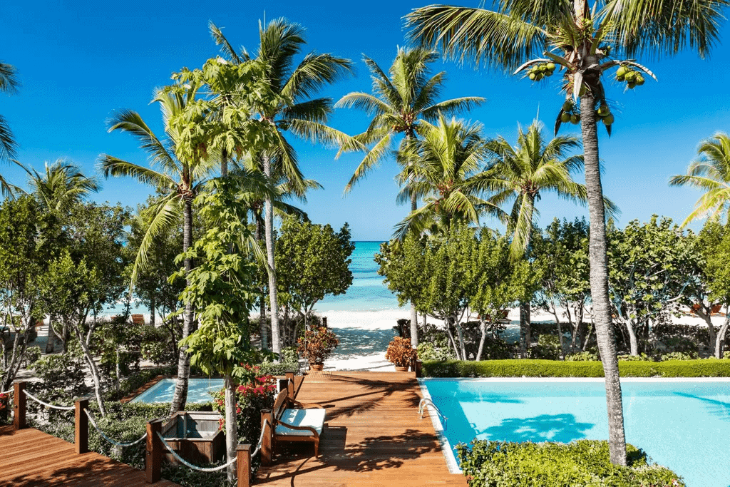 Parrot Cay TC