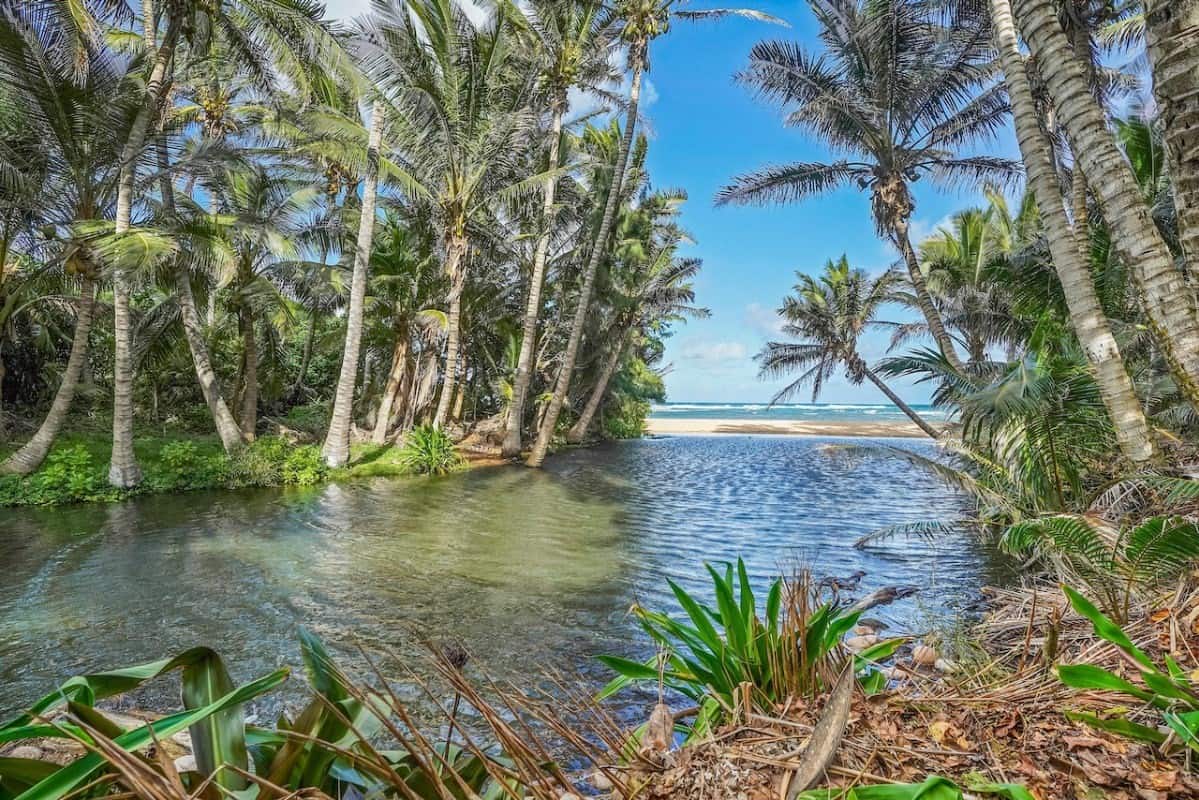 5000 Aliomanu Road Anahola HI 96703