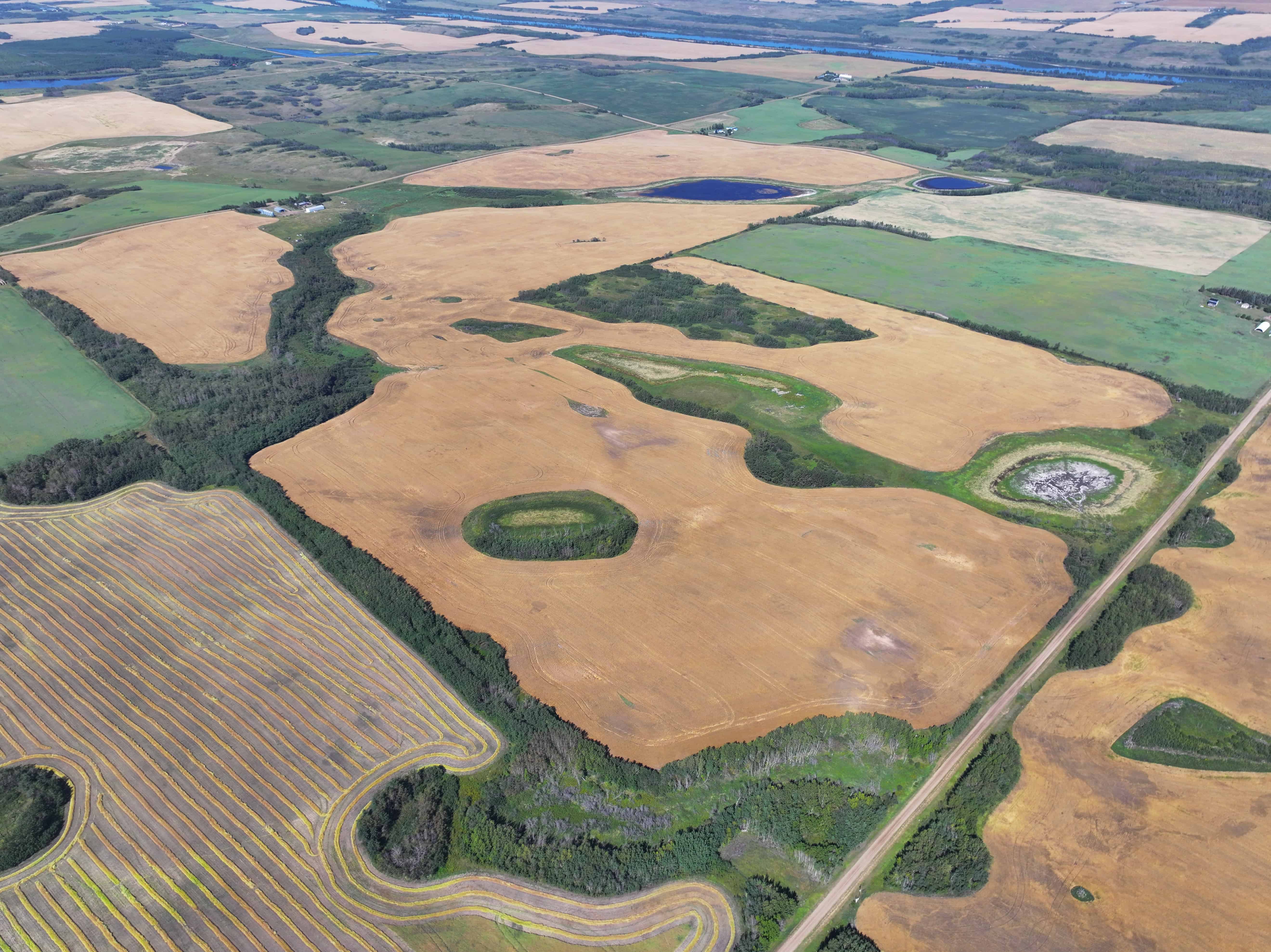RR 115 Twp 554 Two Hills AB T0B 4K0