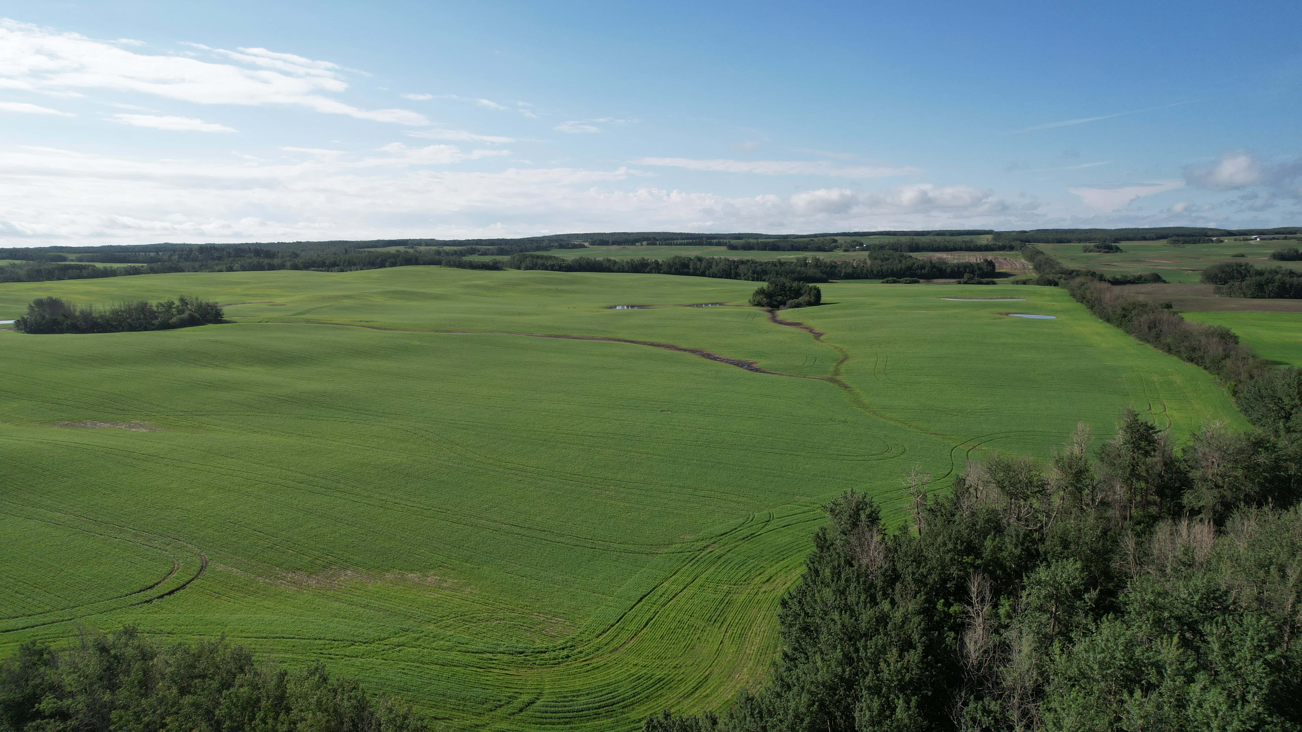 RR 115 Twp 554 Two Hills AB T0B 4K0