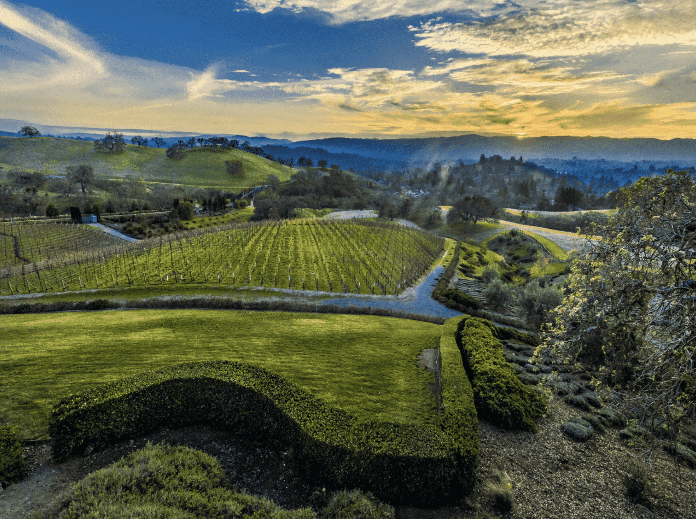 10 Serenity Lane Alamo CA 94507