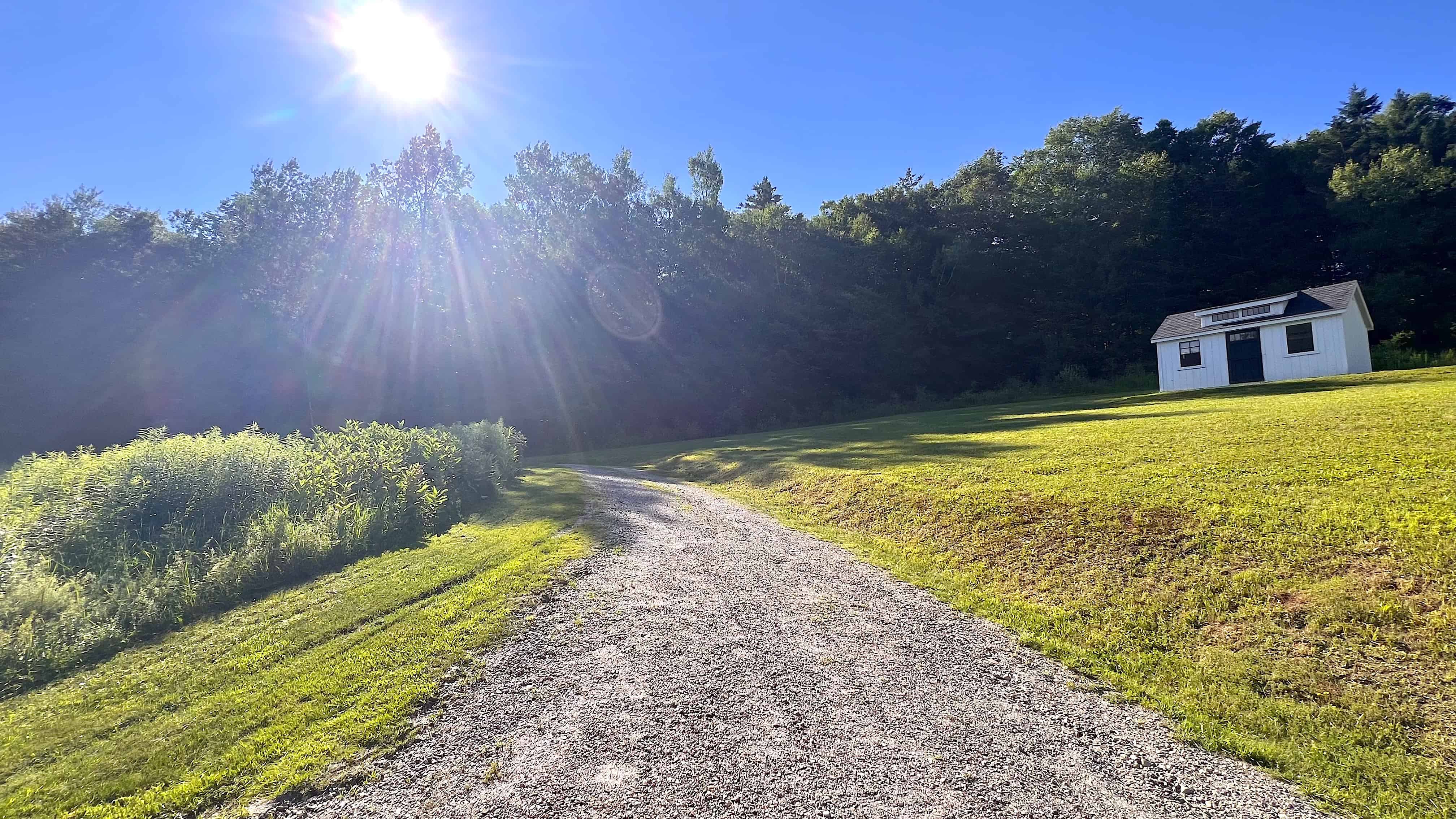 Dorset VT 05251