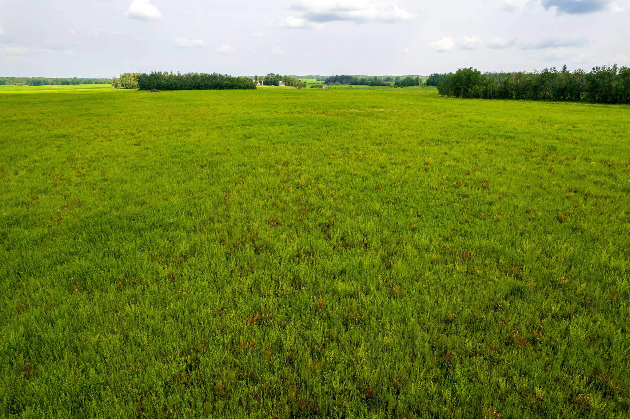 Range Road 205 Strathcona County AB T8L 3Z1