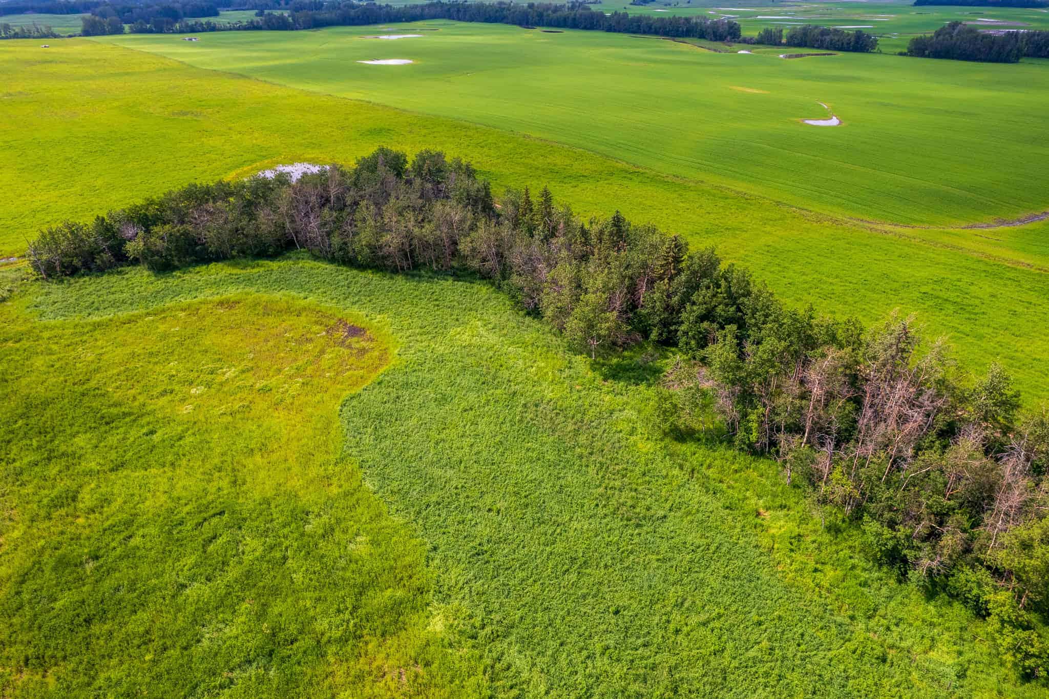 Range Road 205 Strathcona County AB T8L 3Z1