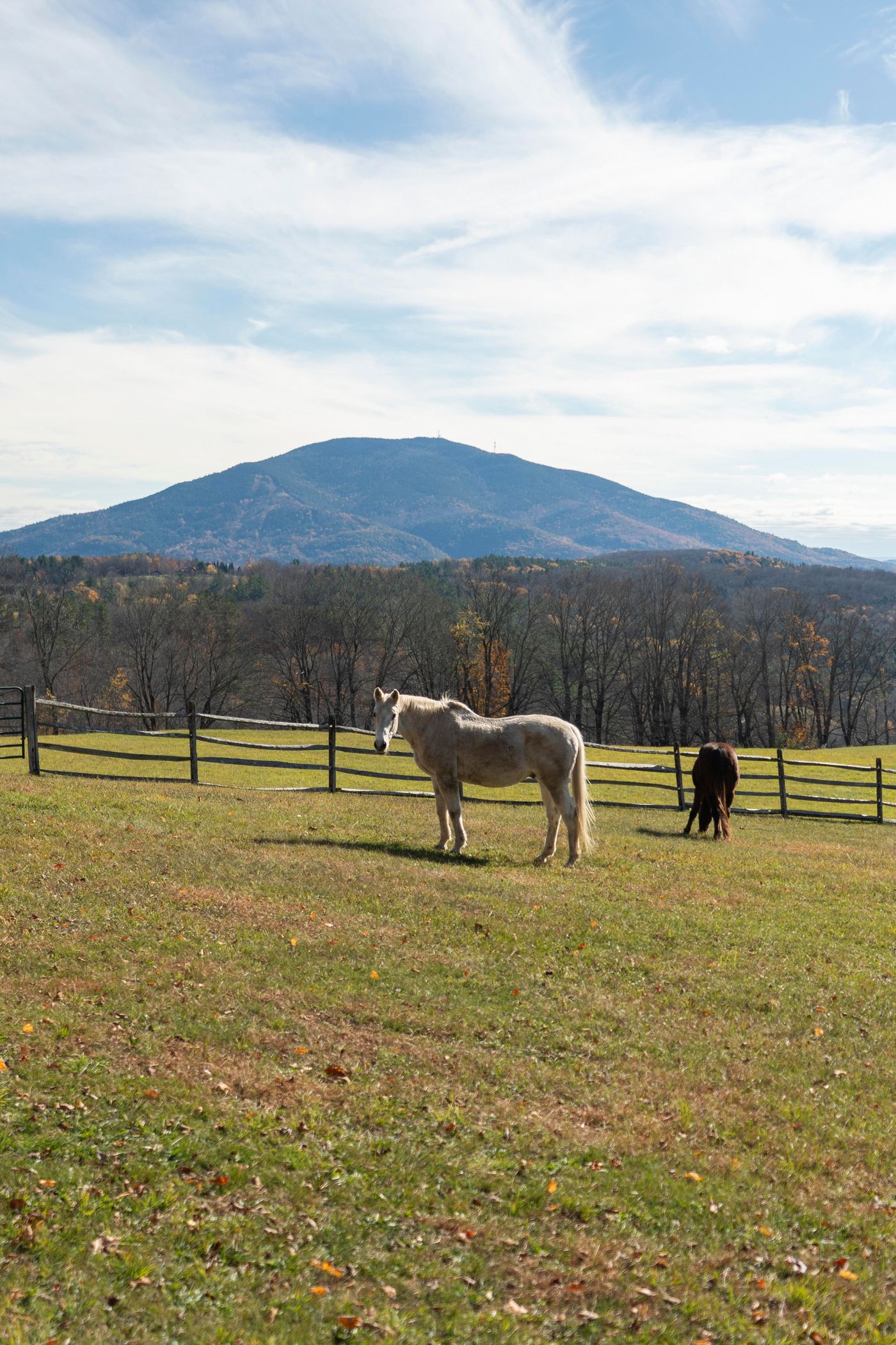 700 Barton Road West Windsor VT 05089