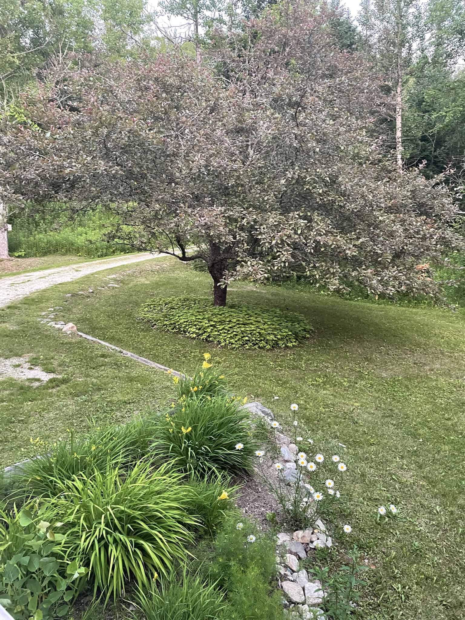 Peru VT 05152