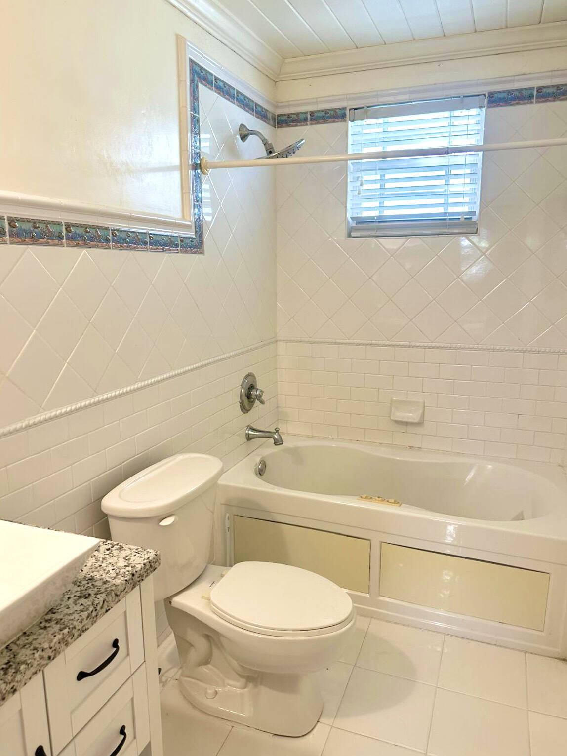 New Providence Paradise Island BS