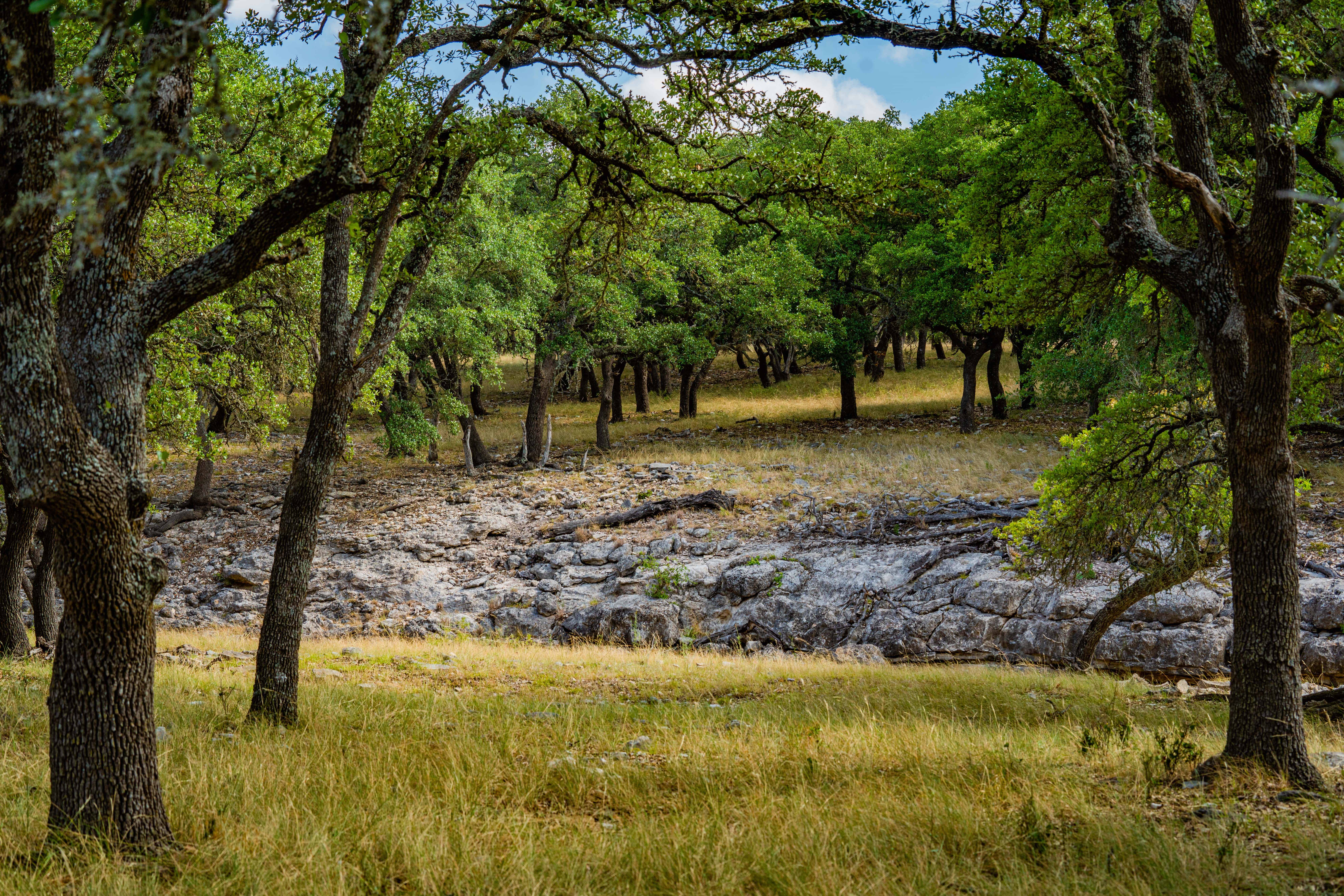 Tbd Kerr County Road 476 Harper TX