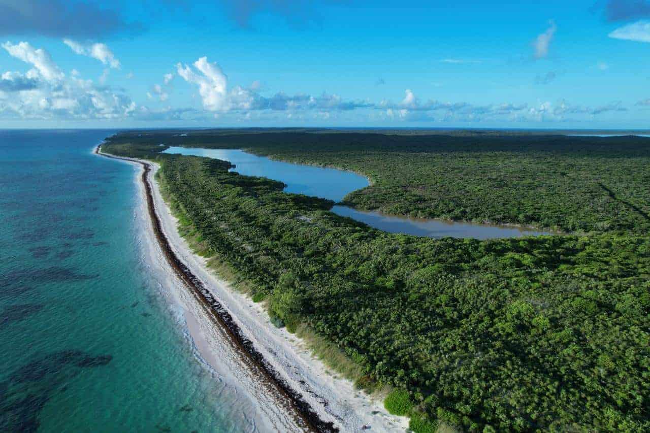 Cat Island BS