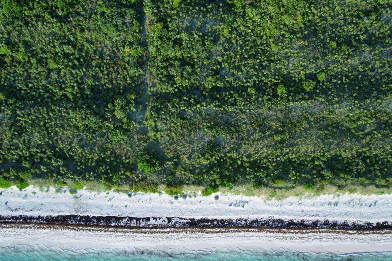 Cat Island BS