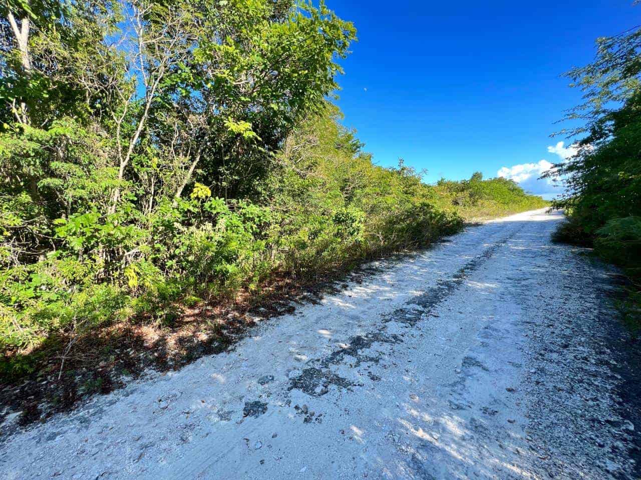 Cat Island BS