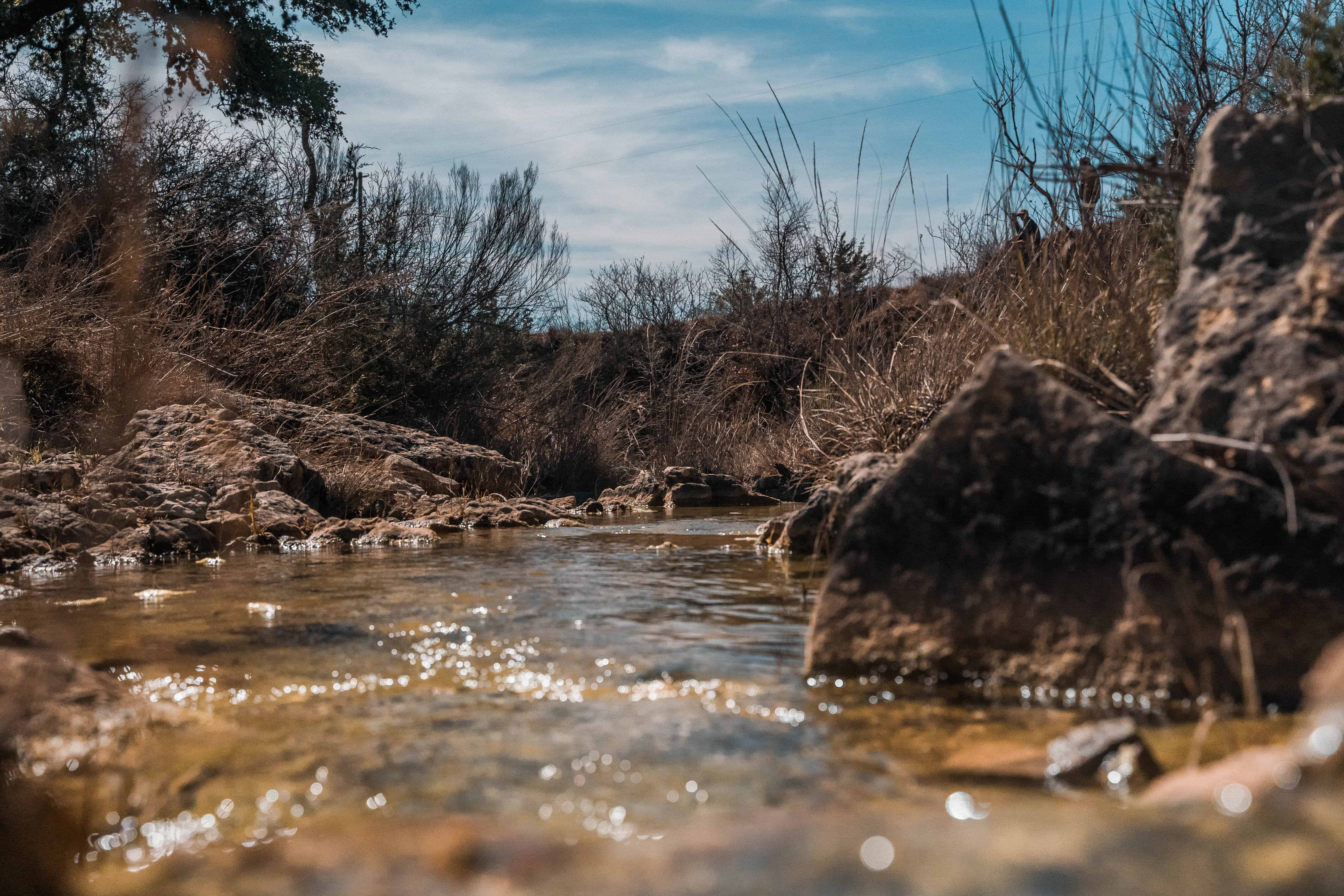 Negem Kendalia Ranch