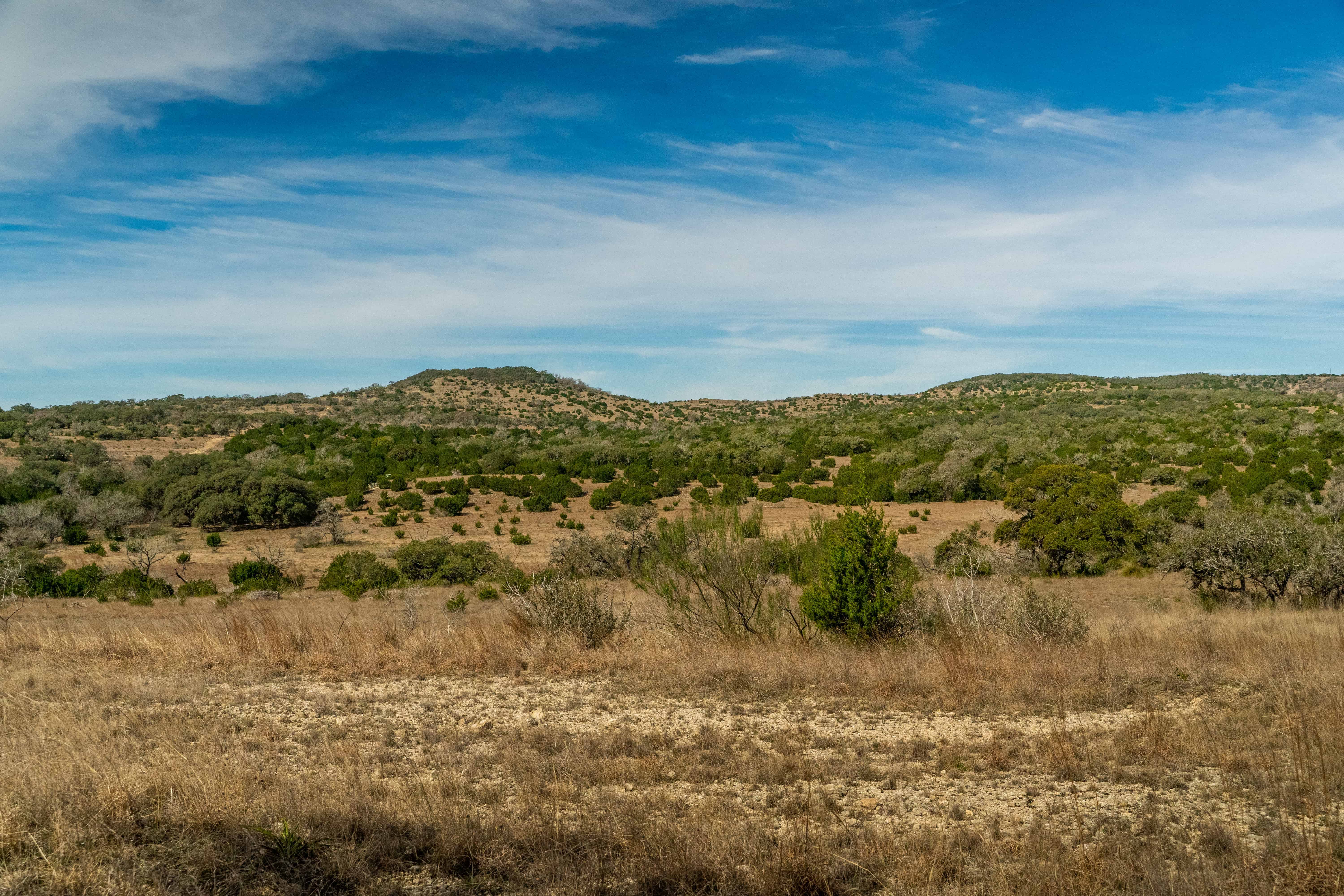 Negem Kendalia Ranch