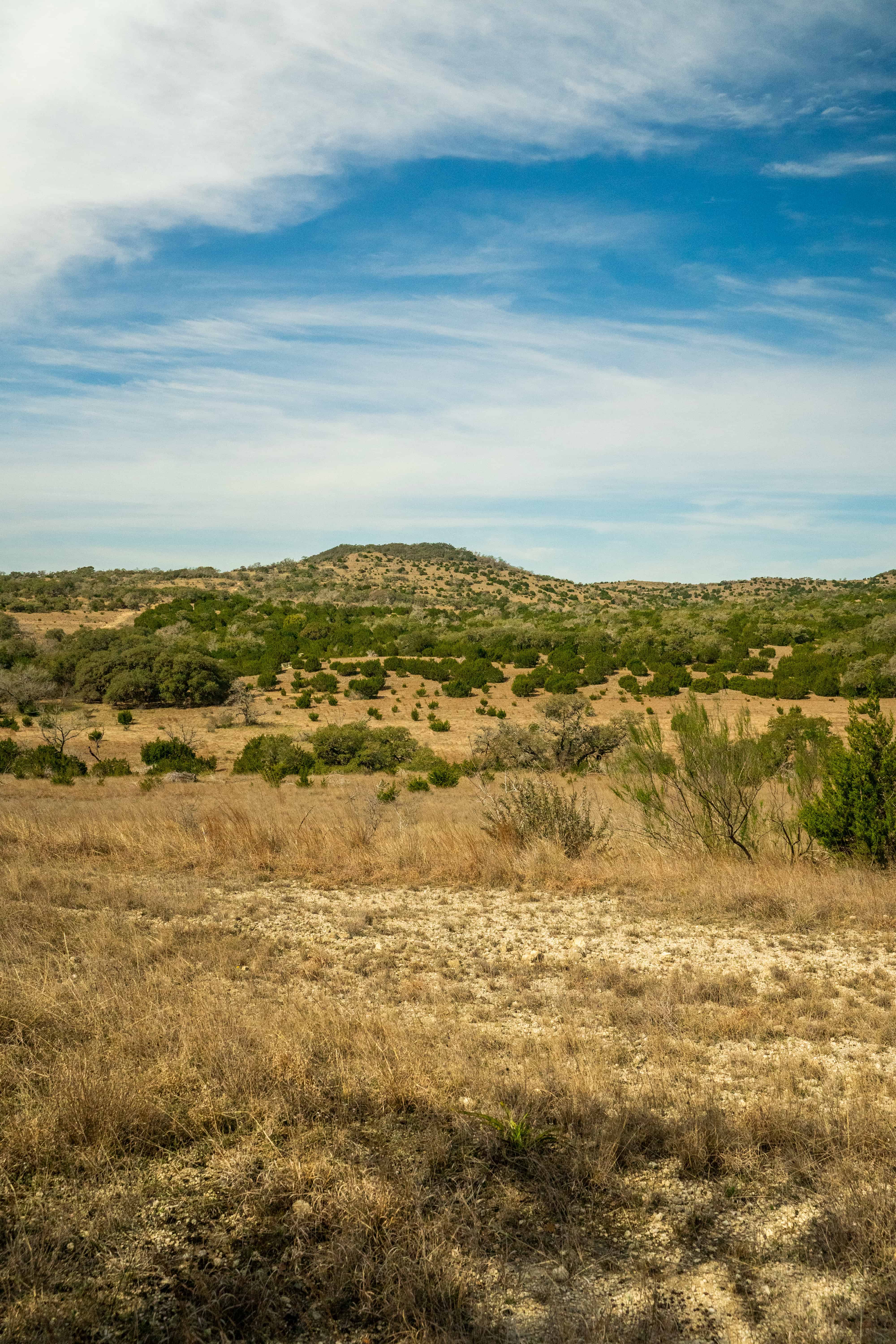 Negem Kendalia Ranch