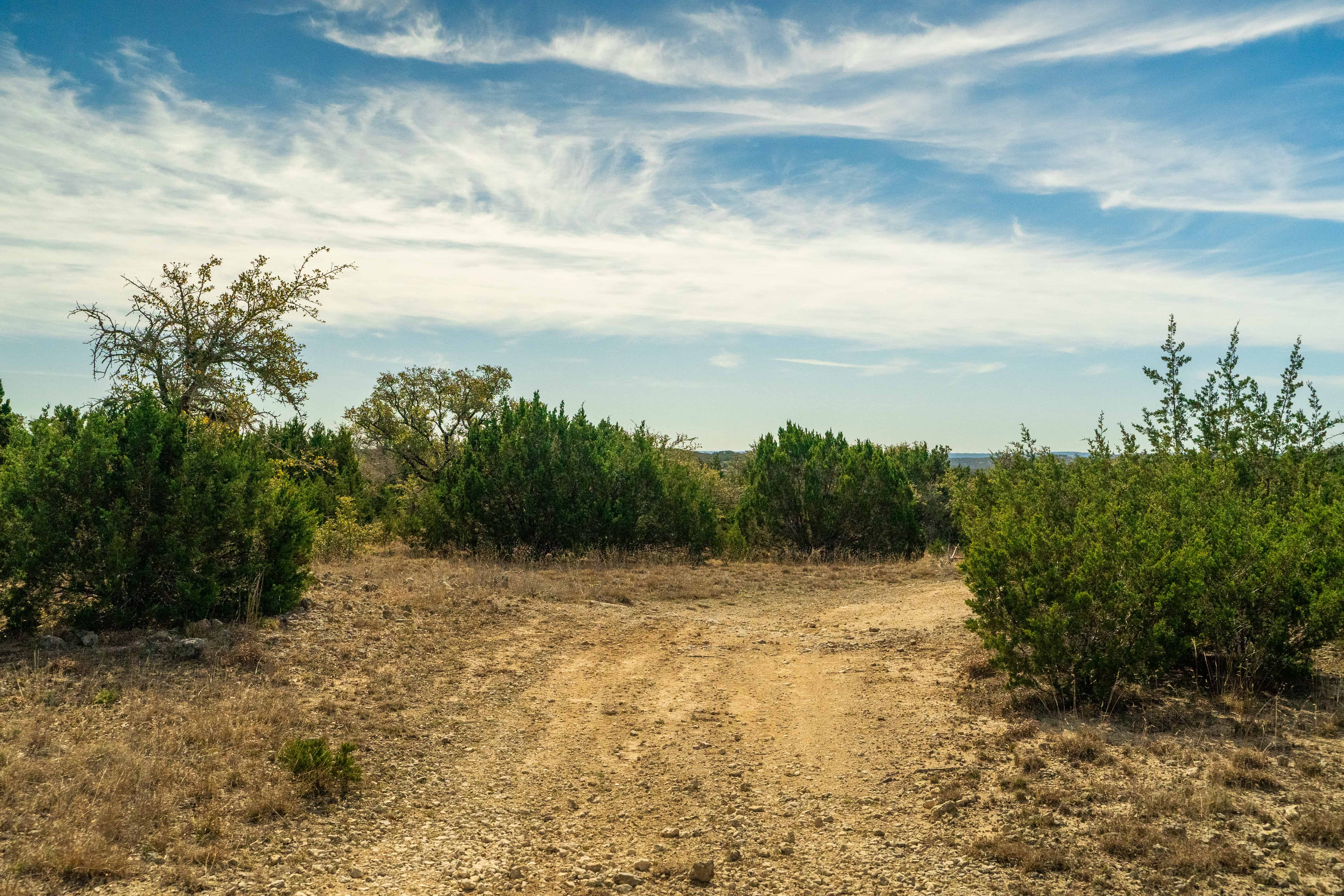 Negem Kendalia Ranch