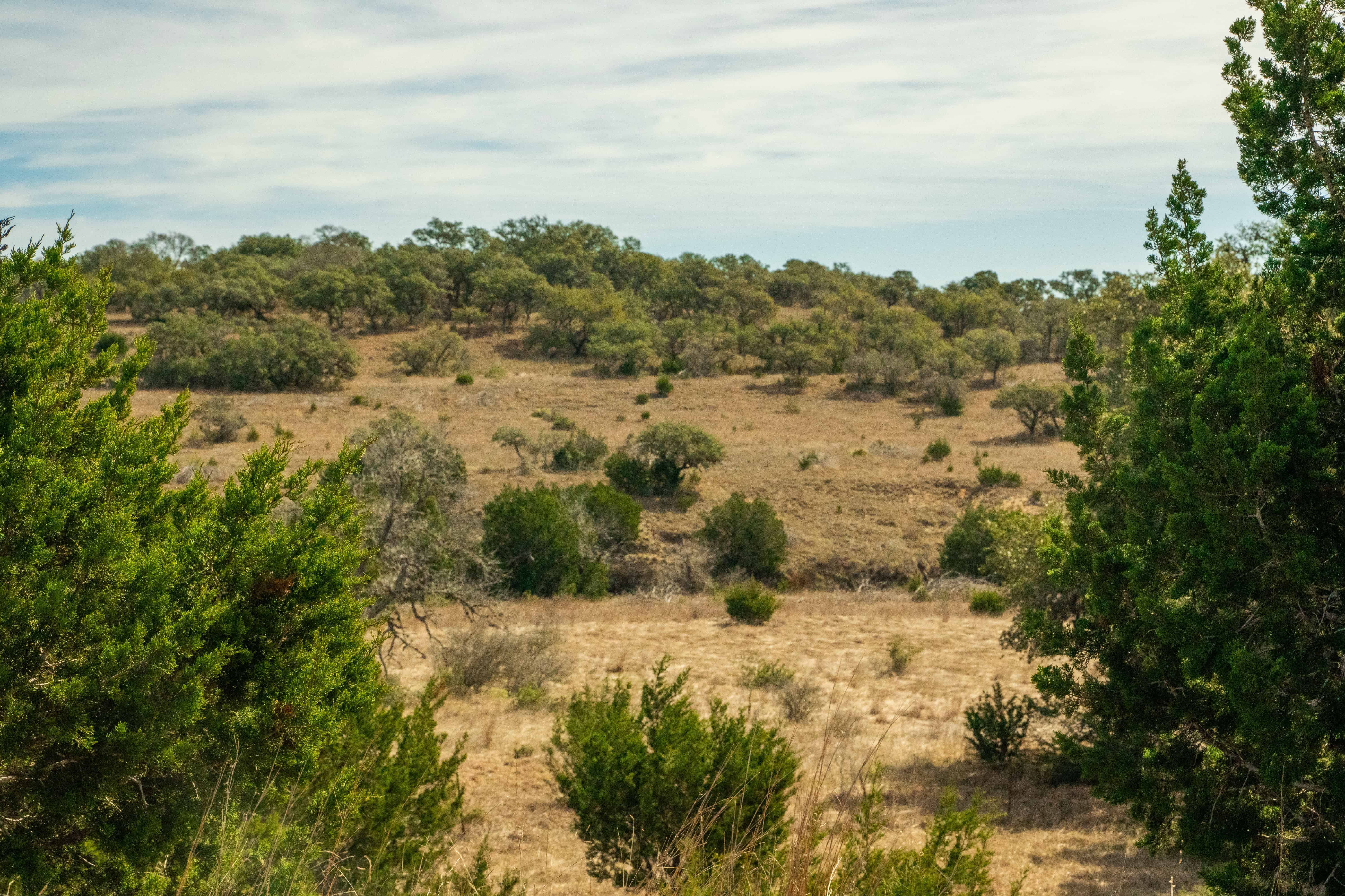 Negem Kendalia Ranch