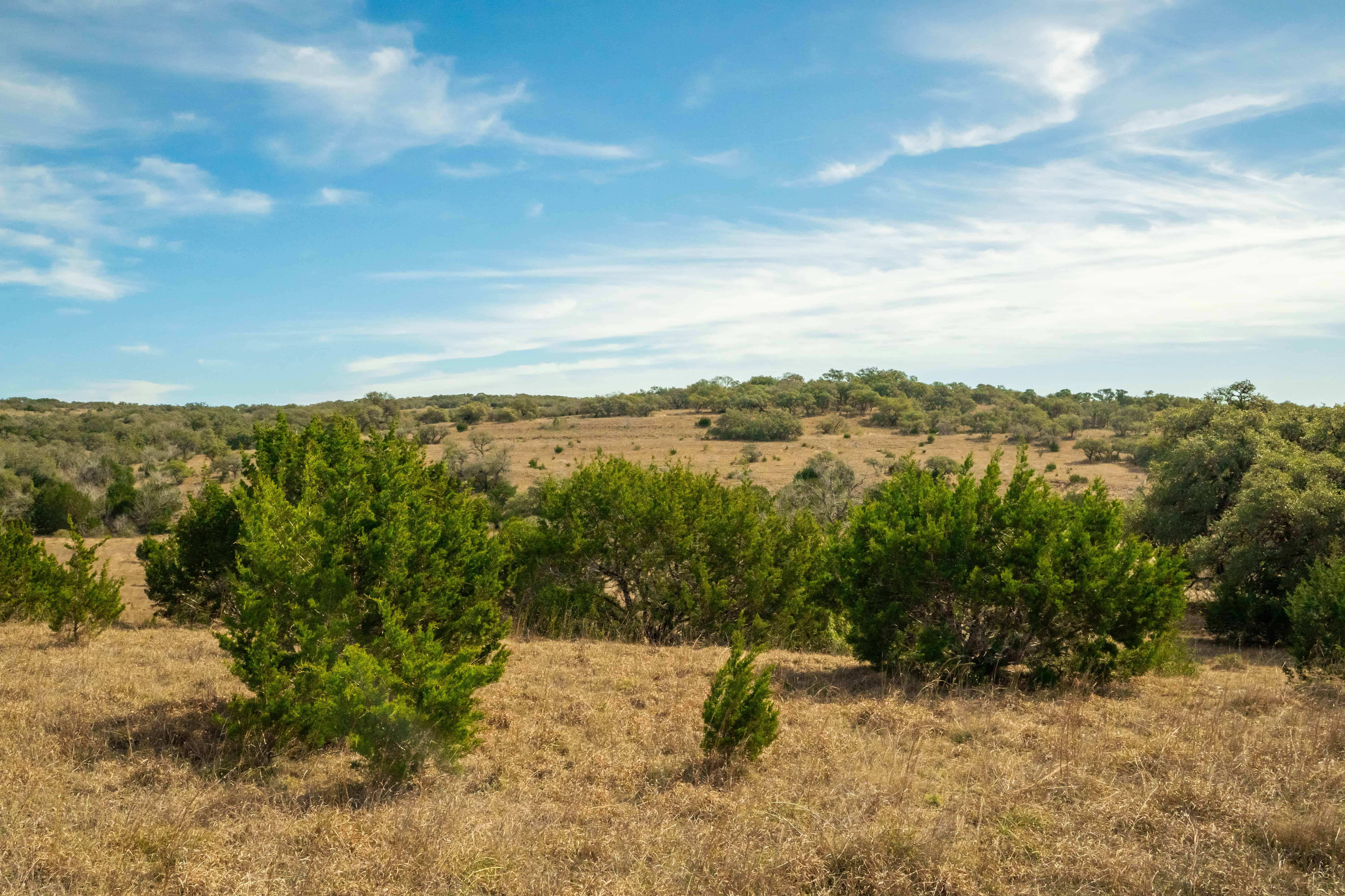 Negem Kendalia Ranch