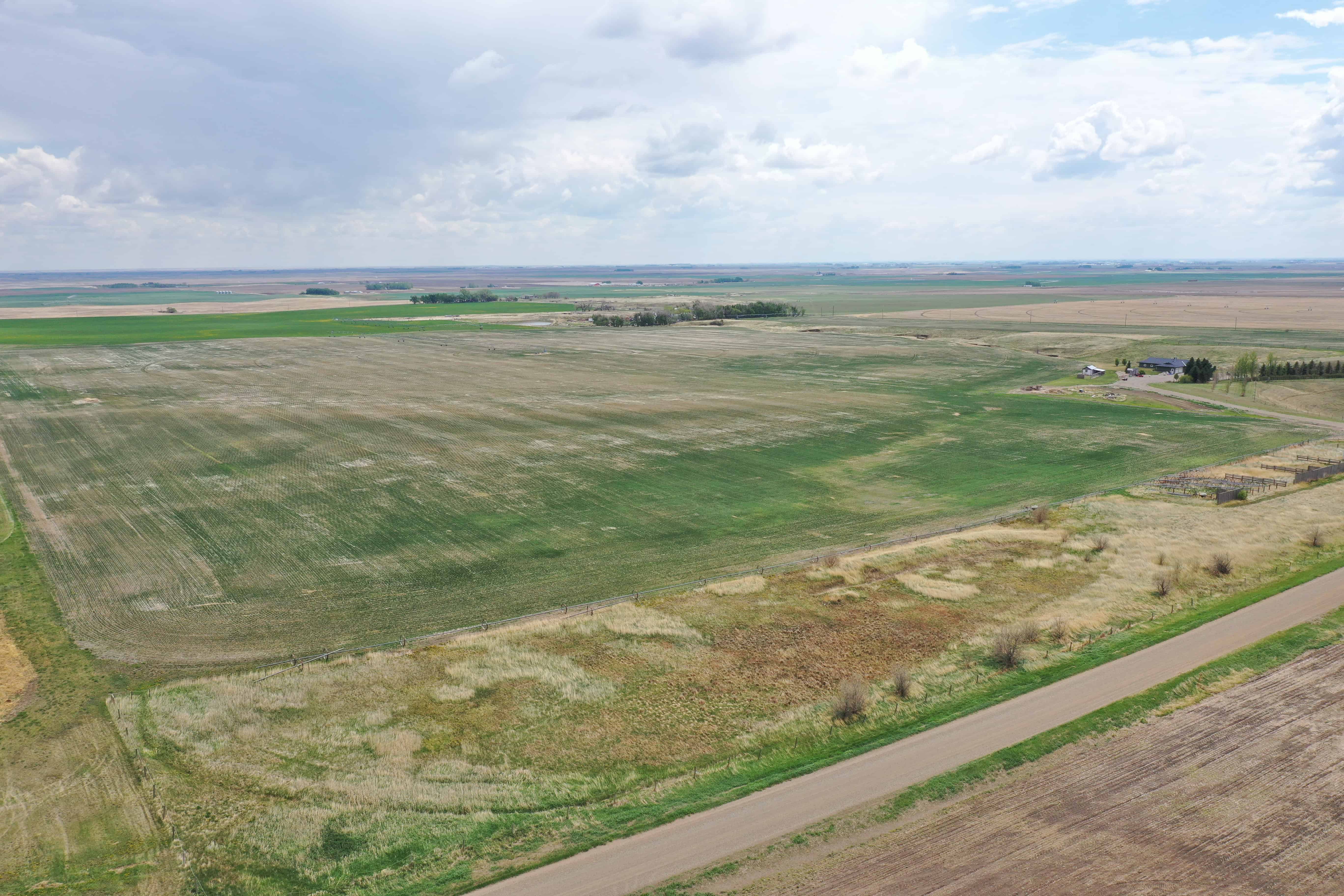 Rr 214, County Of Lethbridge SW 1/4- 28-12-21-w4 Picture Butte AB