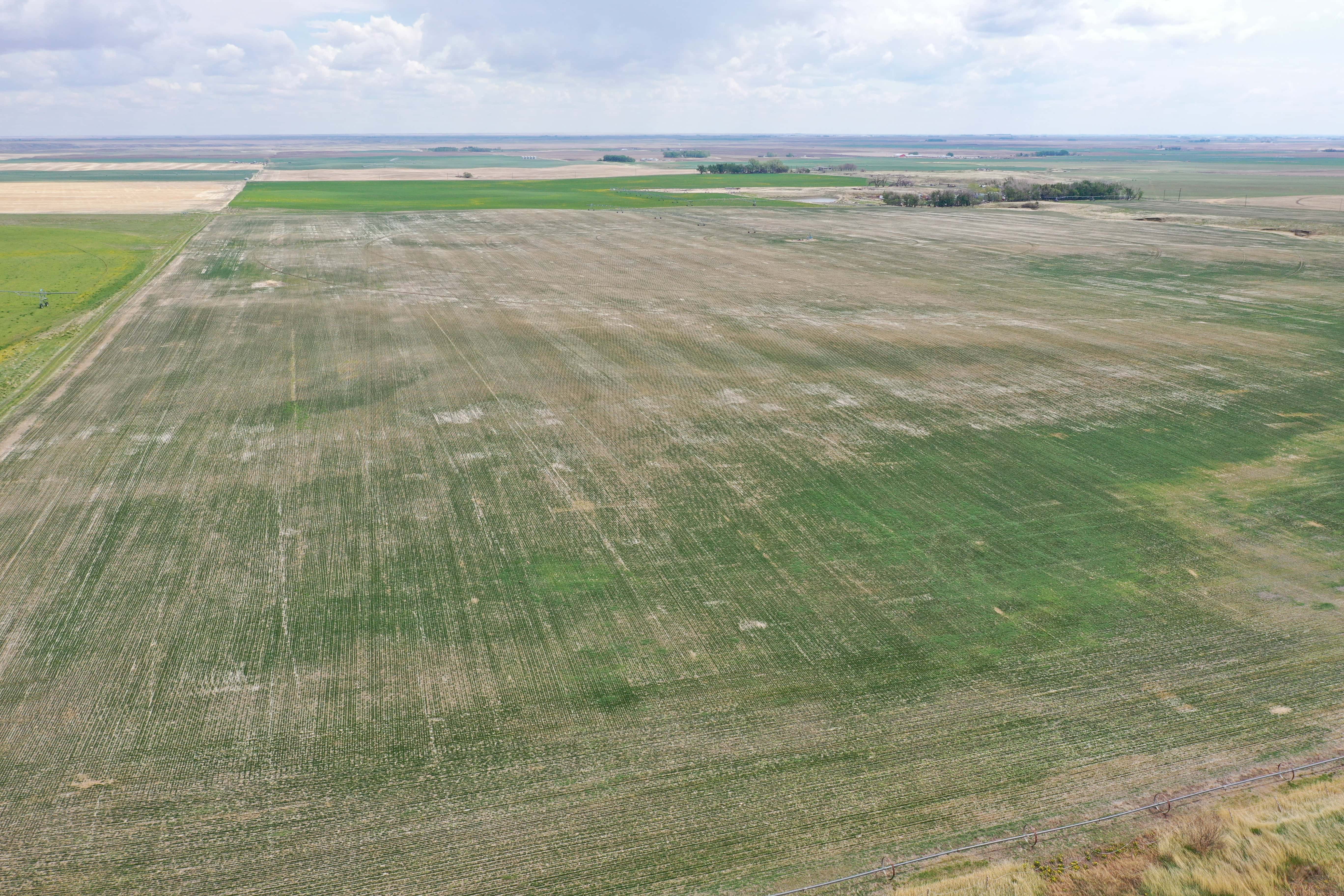 Rr 214, County Of Lethbridge SW 1/4- 28-12-21-w4 Picture Butte AB
