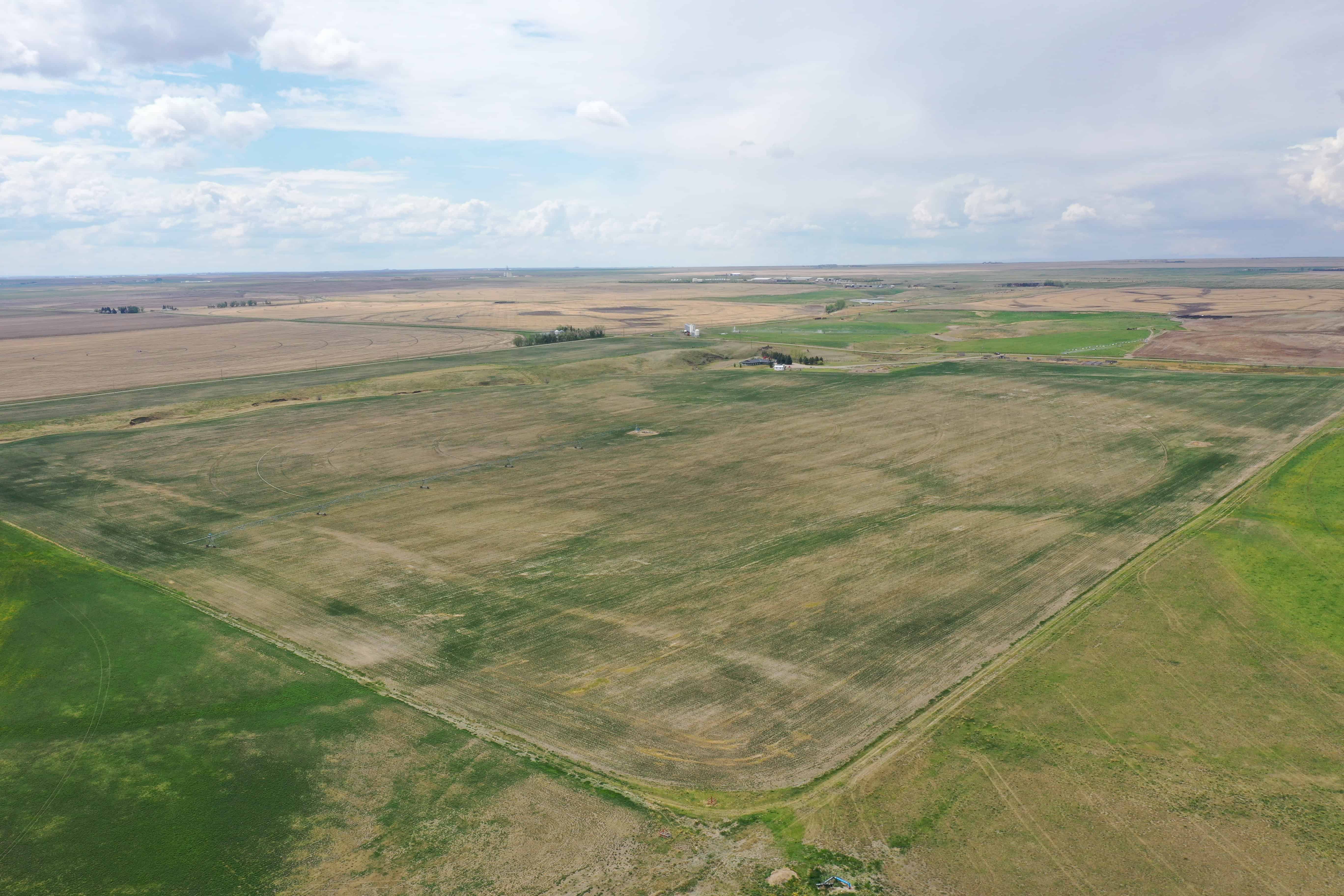 Rr 214, County Of Lethbridge SW 1/4- 28-12-21-w4 Picture Butte AB