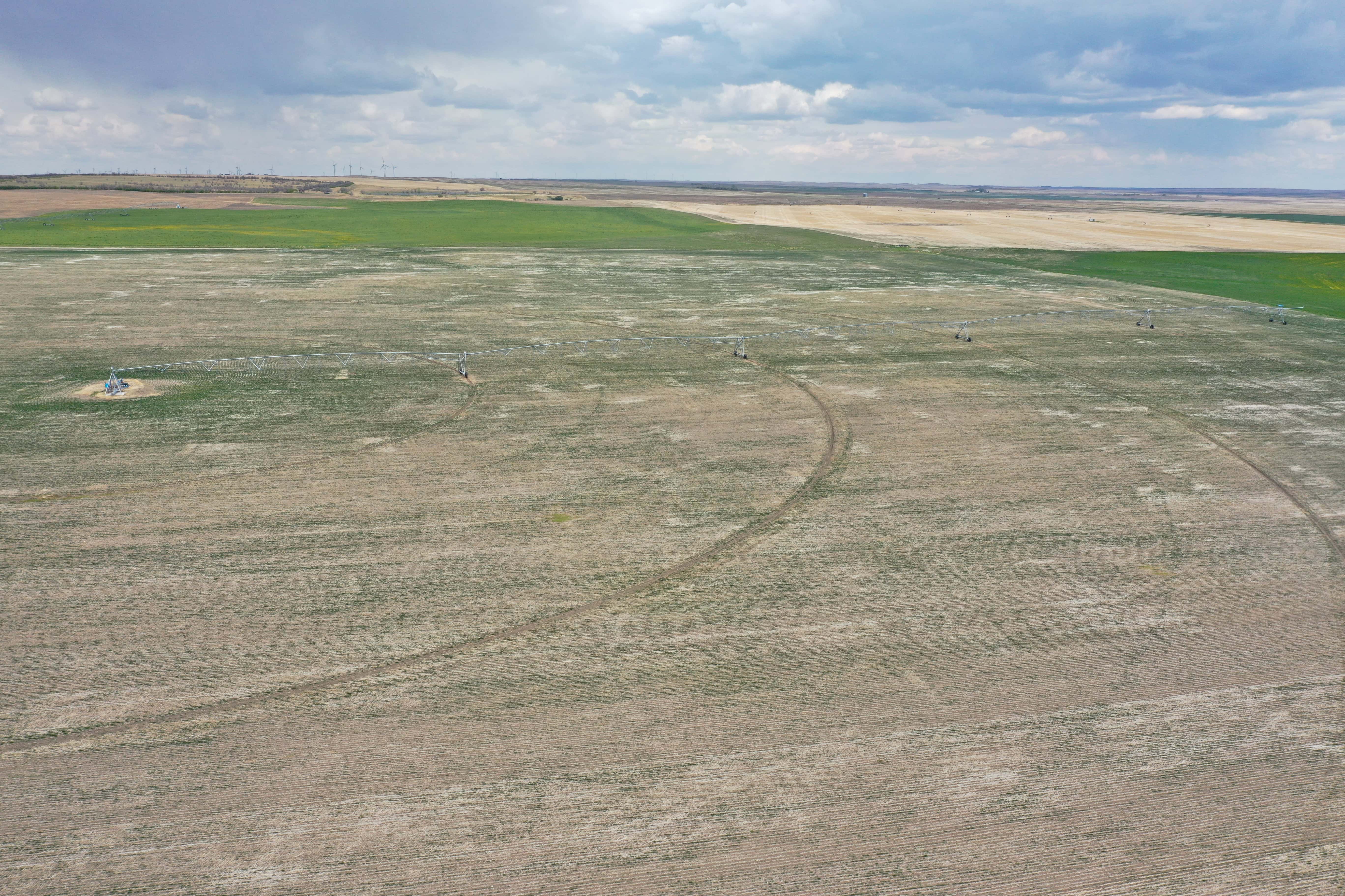 Rr 214, County Of Lethbridge SW 1/4- 28-12-21-w4 Picture Butte AB