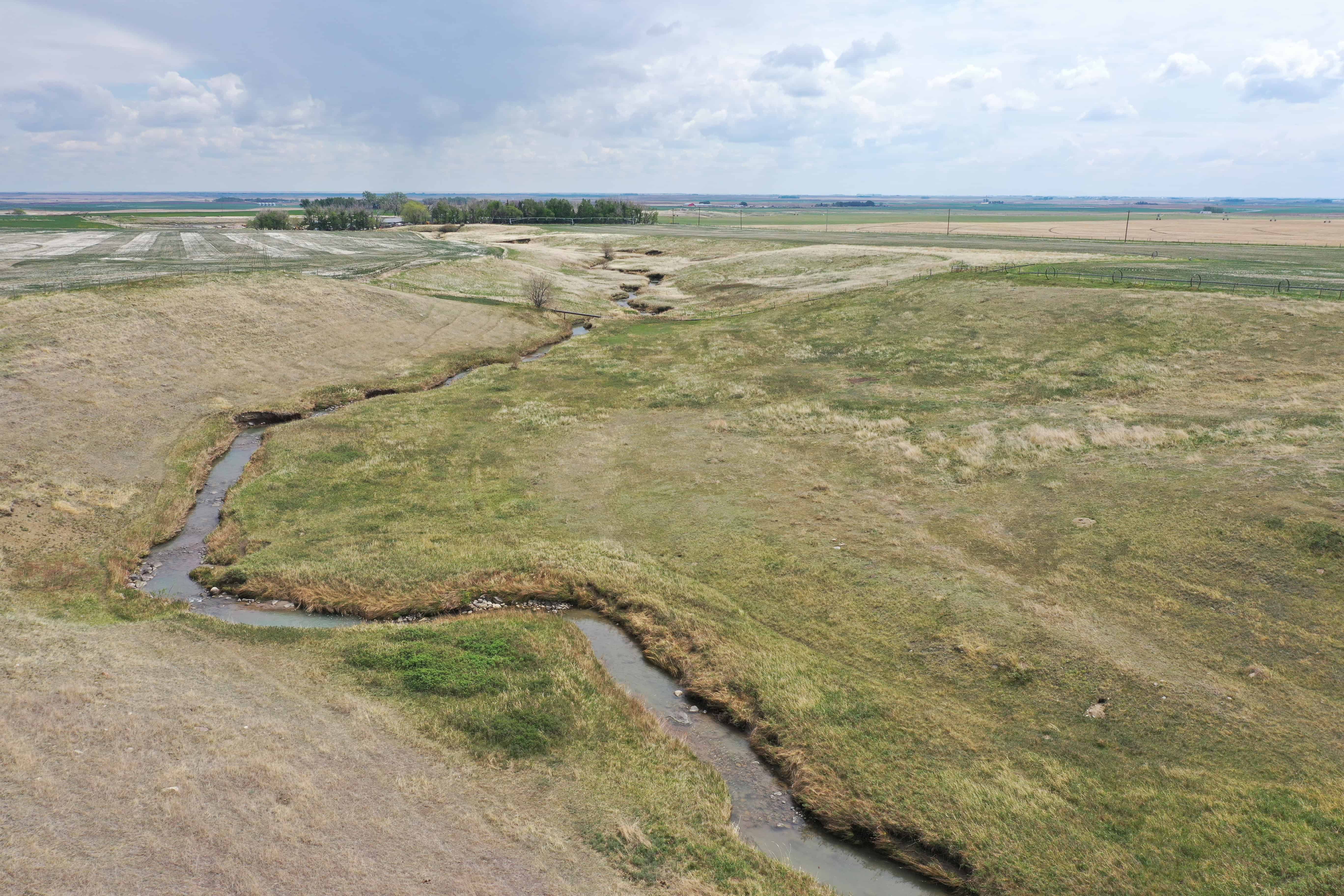 Rr 214, County Of Lethbridge SW 1/4- 28-12-21-w4 Picture Butte AB