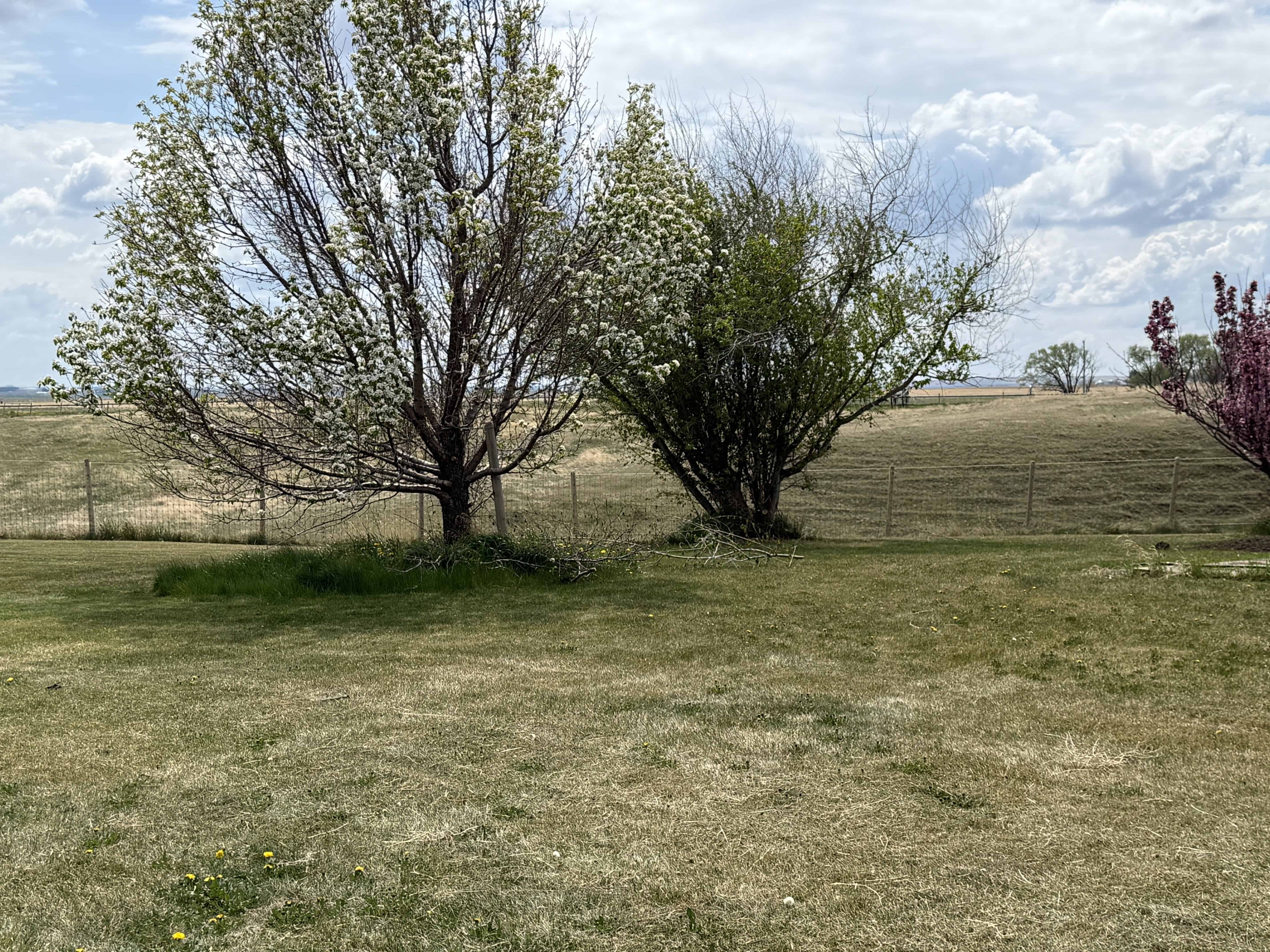 Rr 214, County Of Lethbridge SW 1/4- 28-12-21-w4 Picture Butte AB