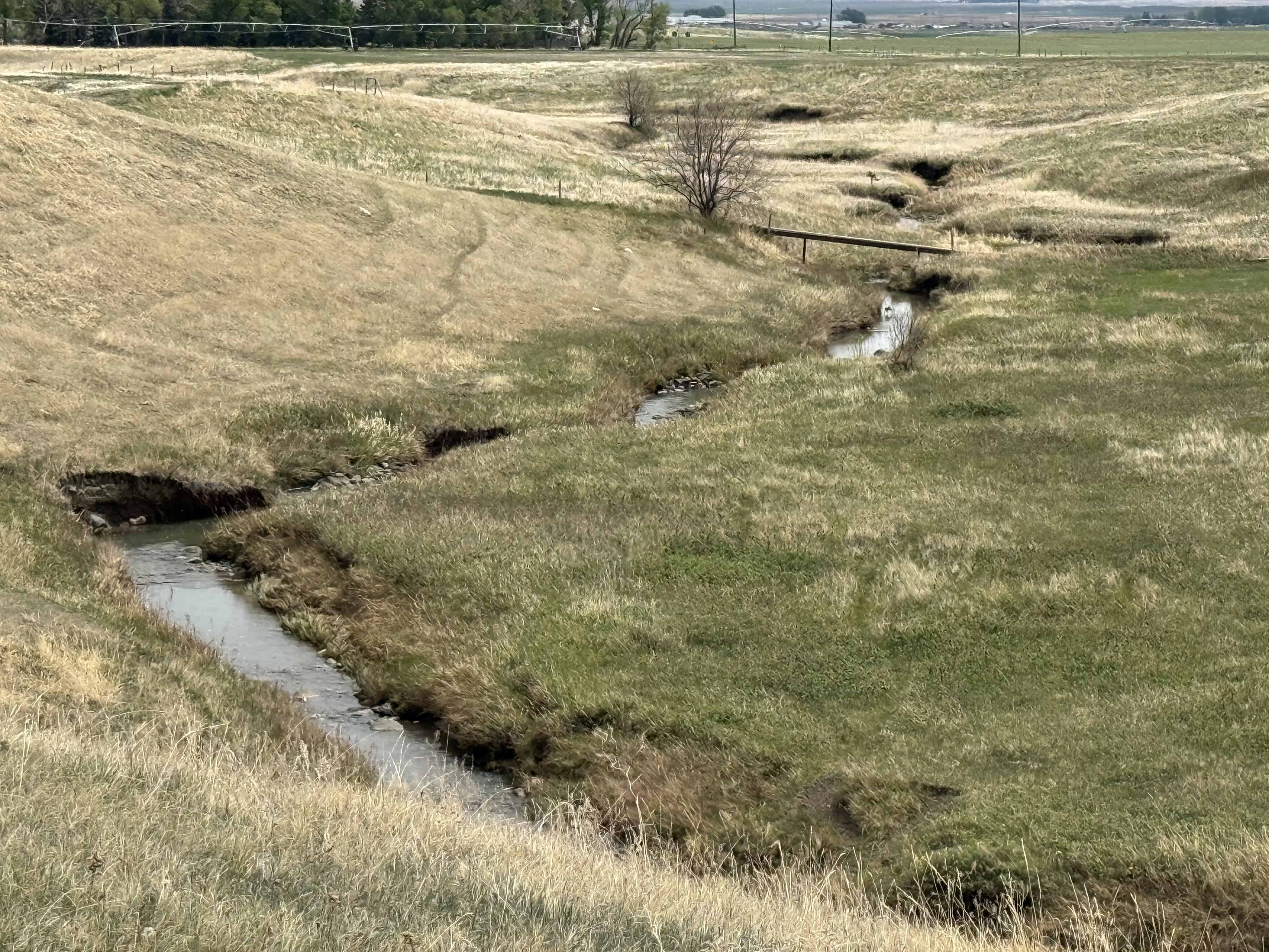 Rr 214, County Of Lethbridge SW 1/4- 28-12-21-w4 Picture Butte AB