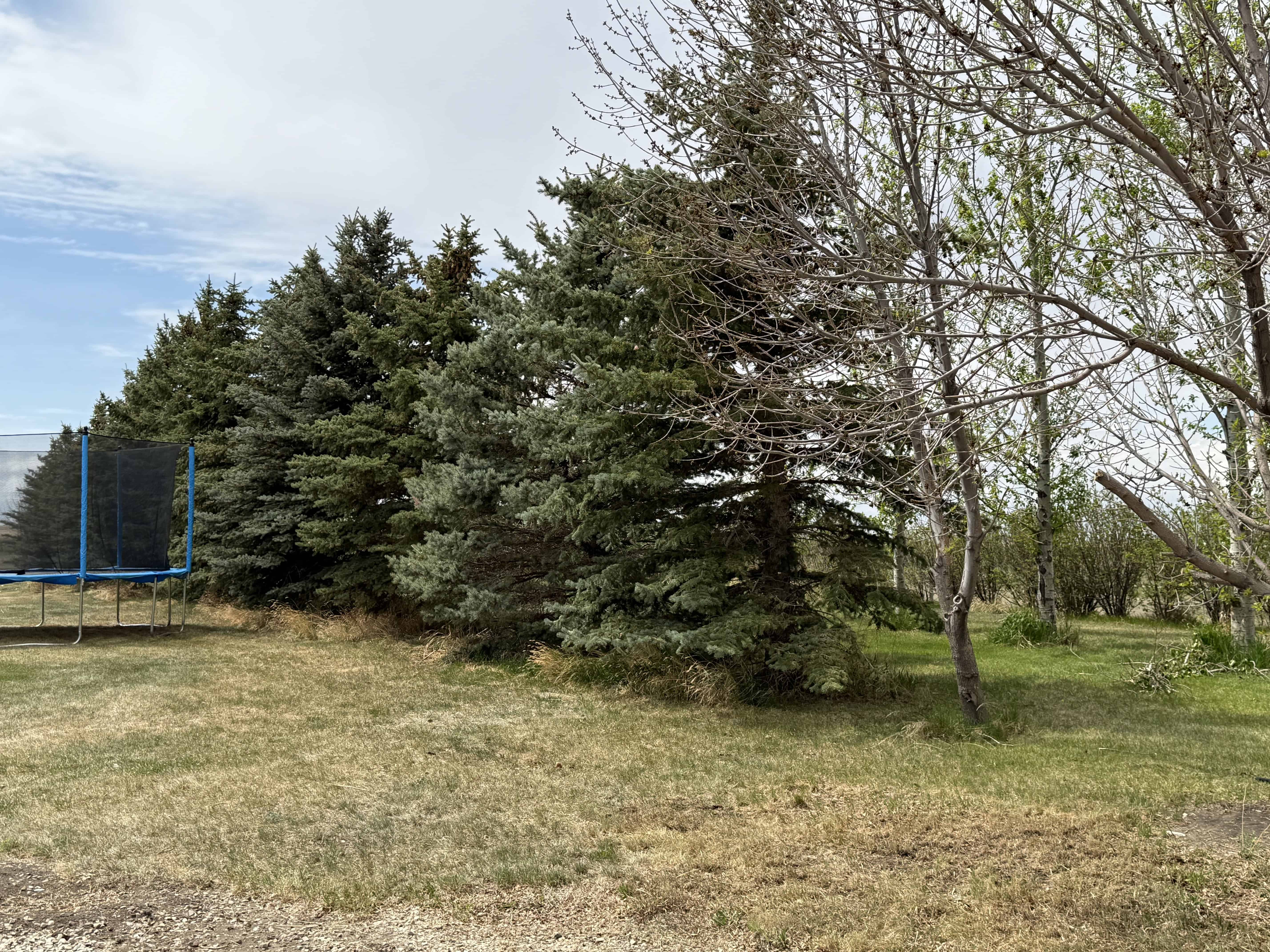 Rr 214, County Of Lethbridge SW 1/4- 28-12-21-w4 Picture Butte AB