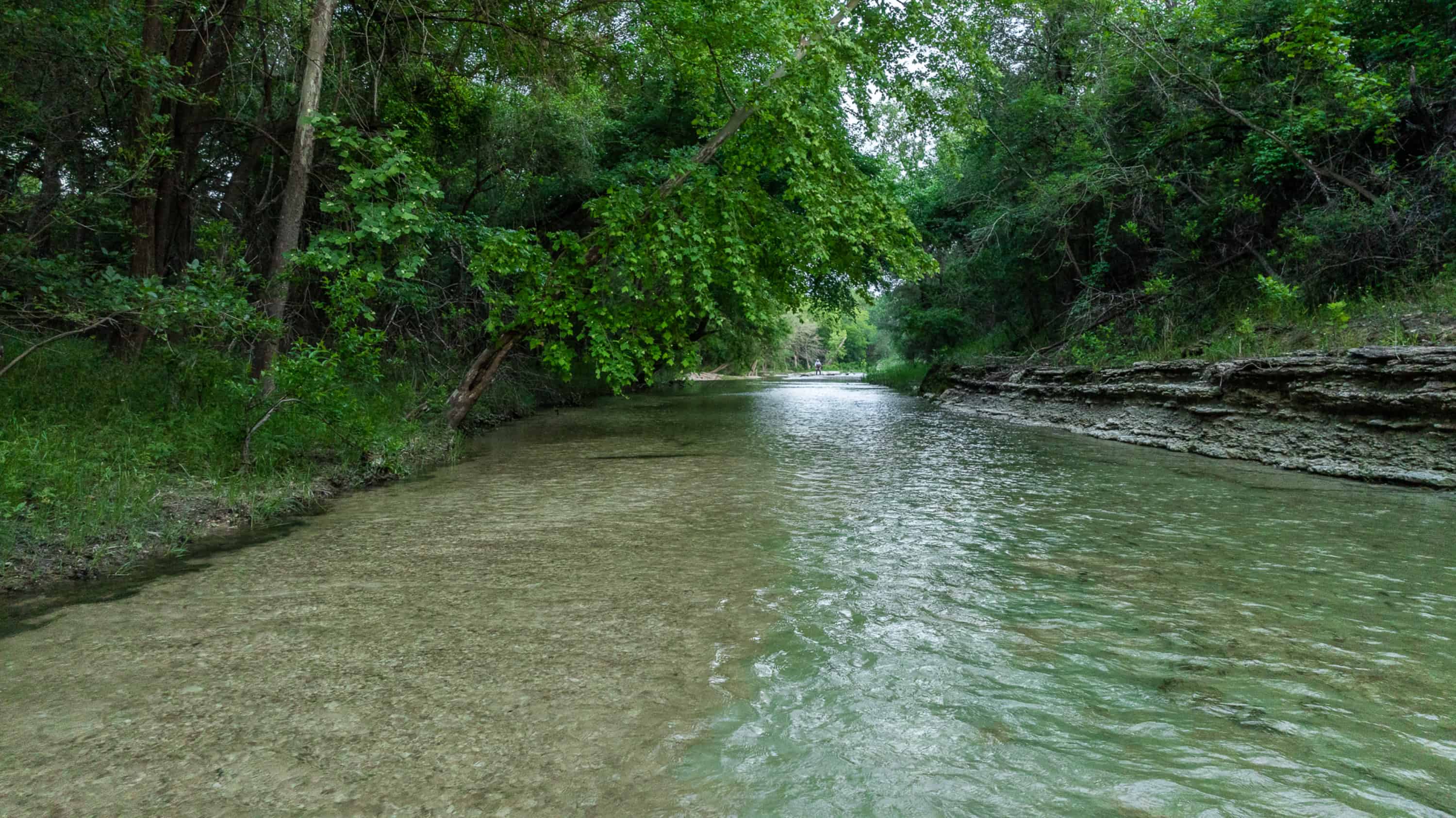 10917 Farm To Market 1434 (981 Acres) Cleburne TX 76033