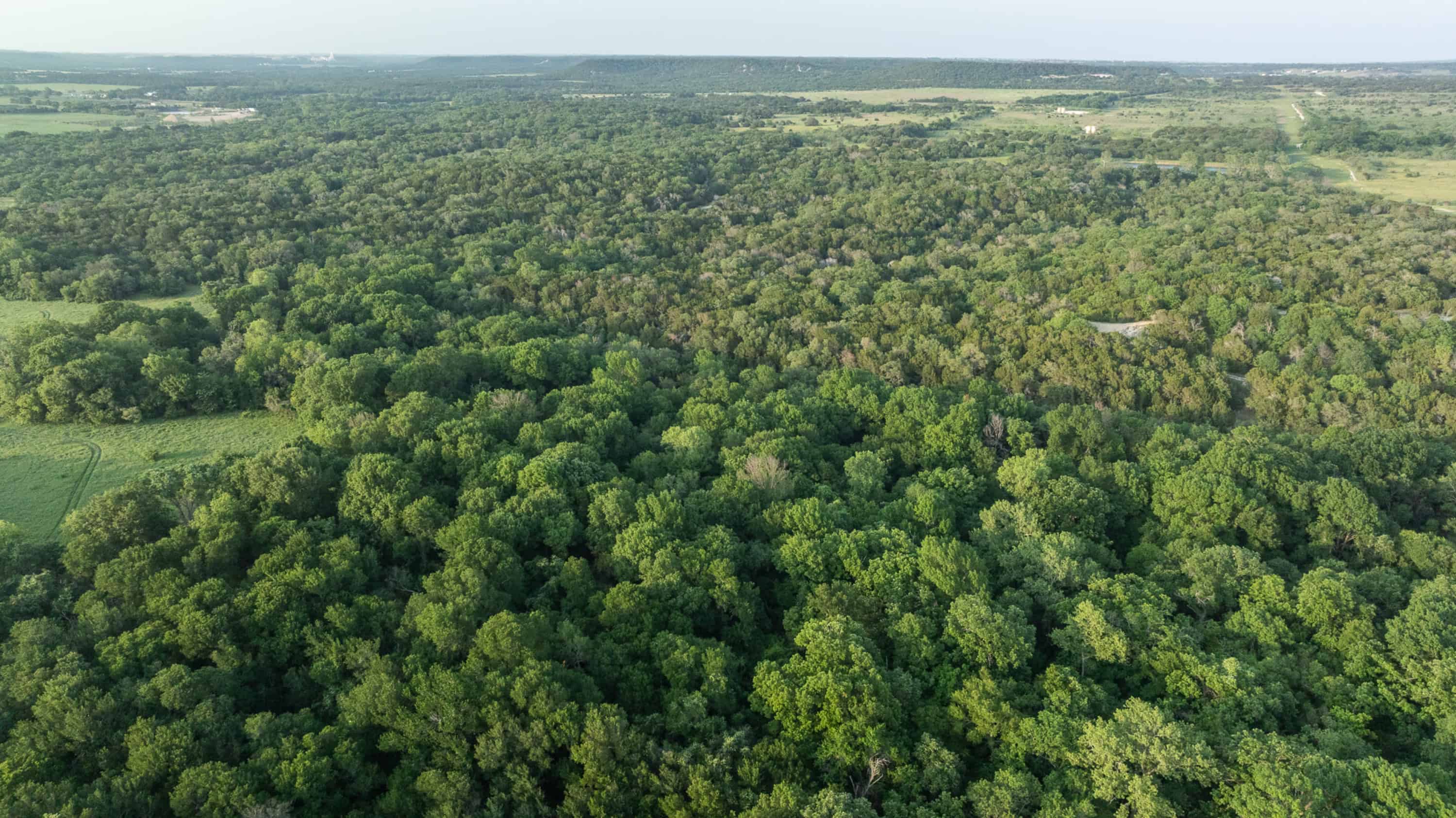 10917 Farm To Market 1434 (981 Acres) Cleburne TX 76033