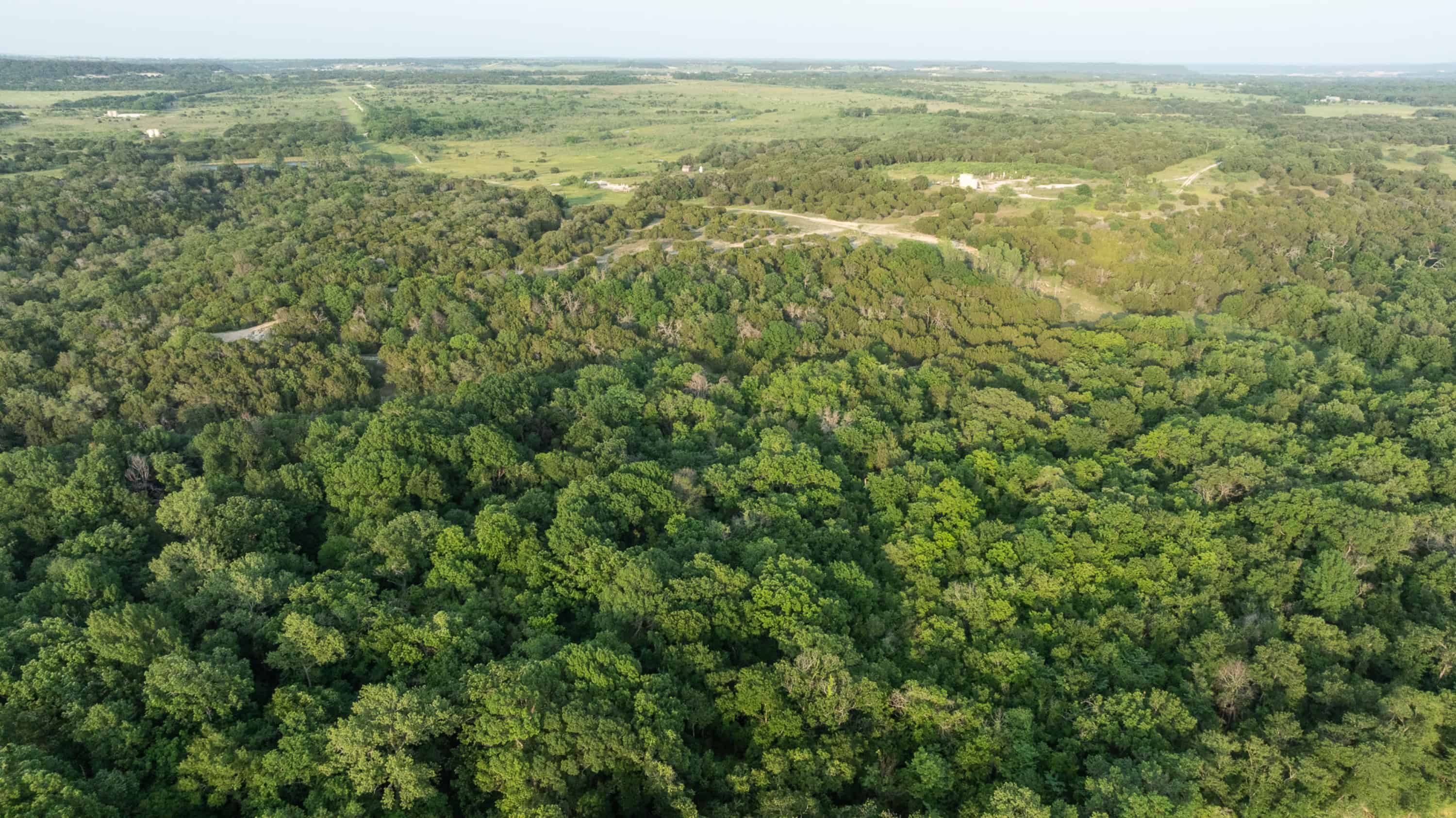 10917 Farm To Market 1434 (981 Acres) Cleburne TX 76033