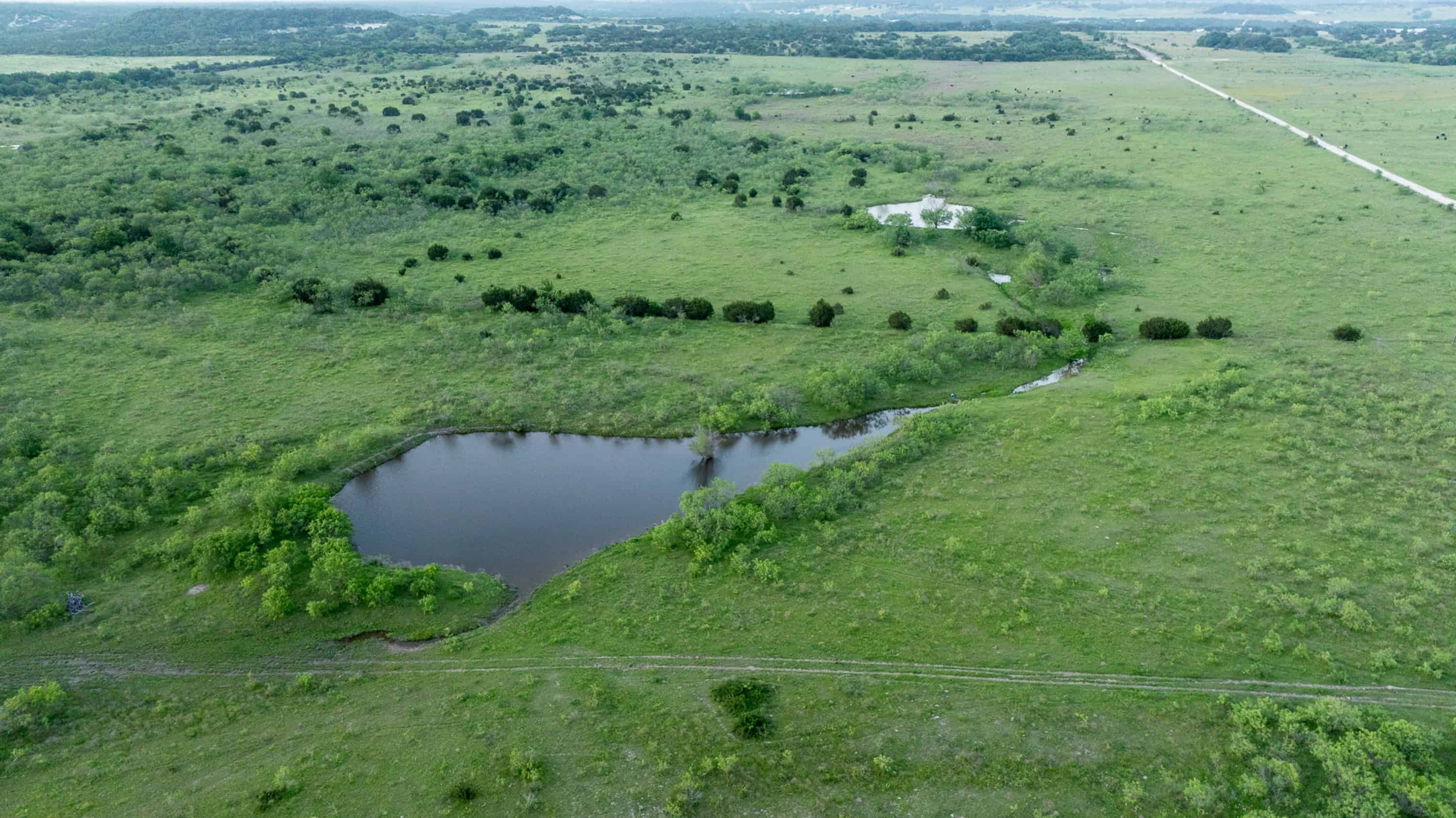 10917 Farm To Market 1434 (981 Acres) Cleburne TX 76033