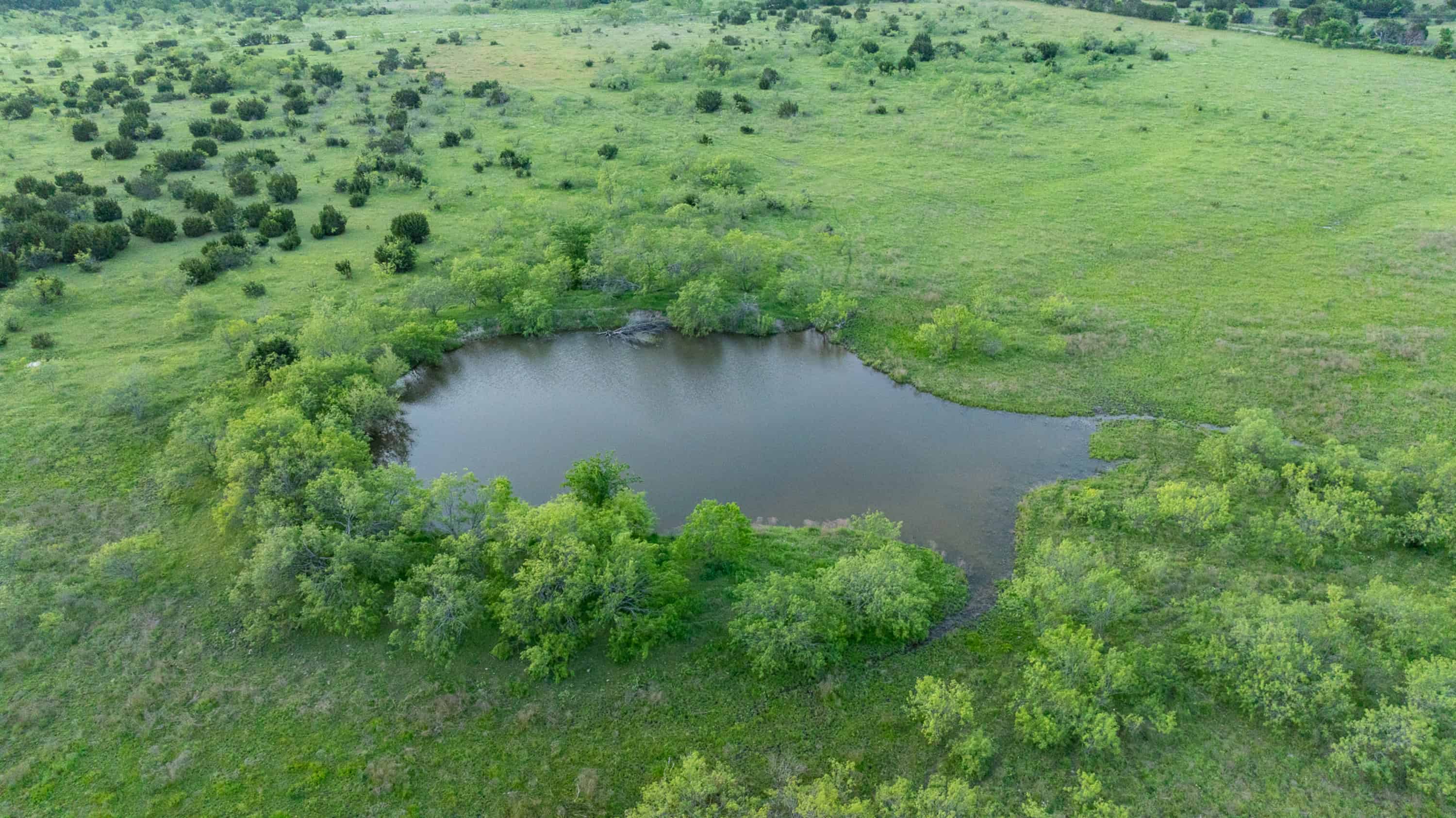 10917 Farm To Market 1434 (981 Acres) Cleburne TX 76033