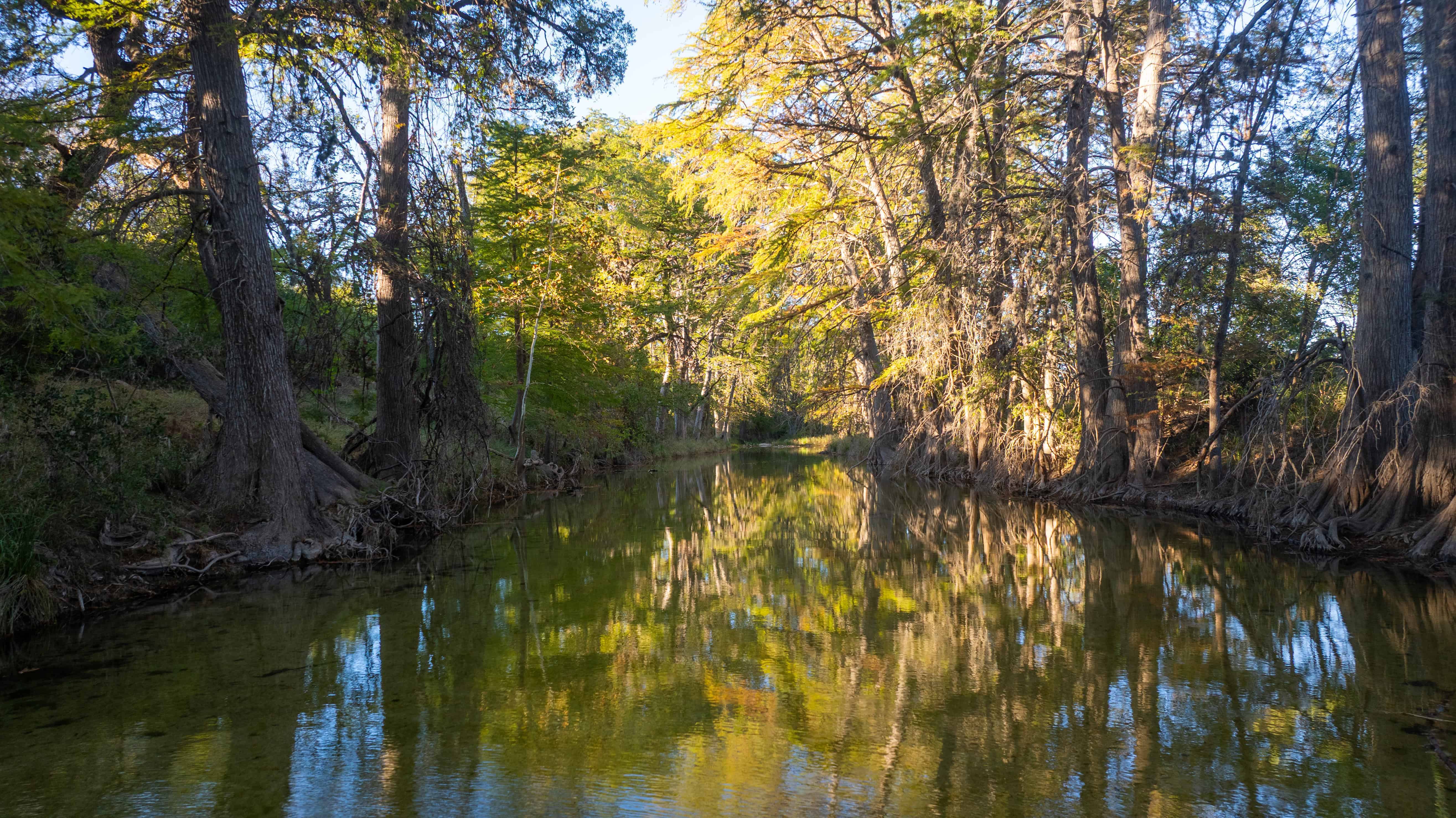 Utopia TX