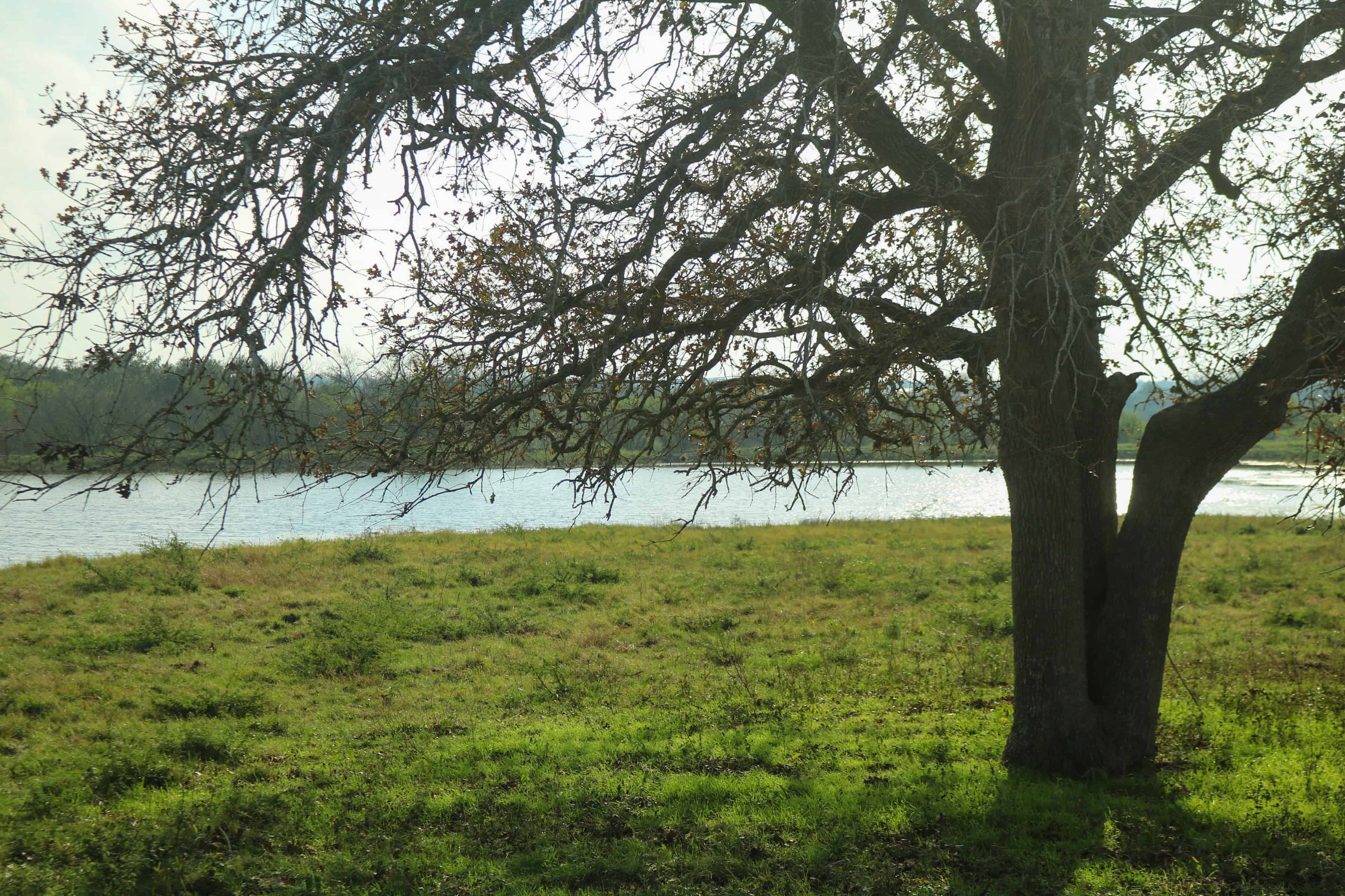 Guadalupe County, Seguin, TX West and Swope Ranches