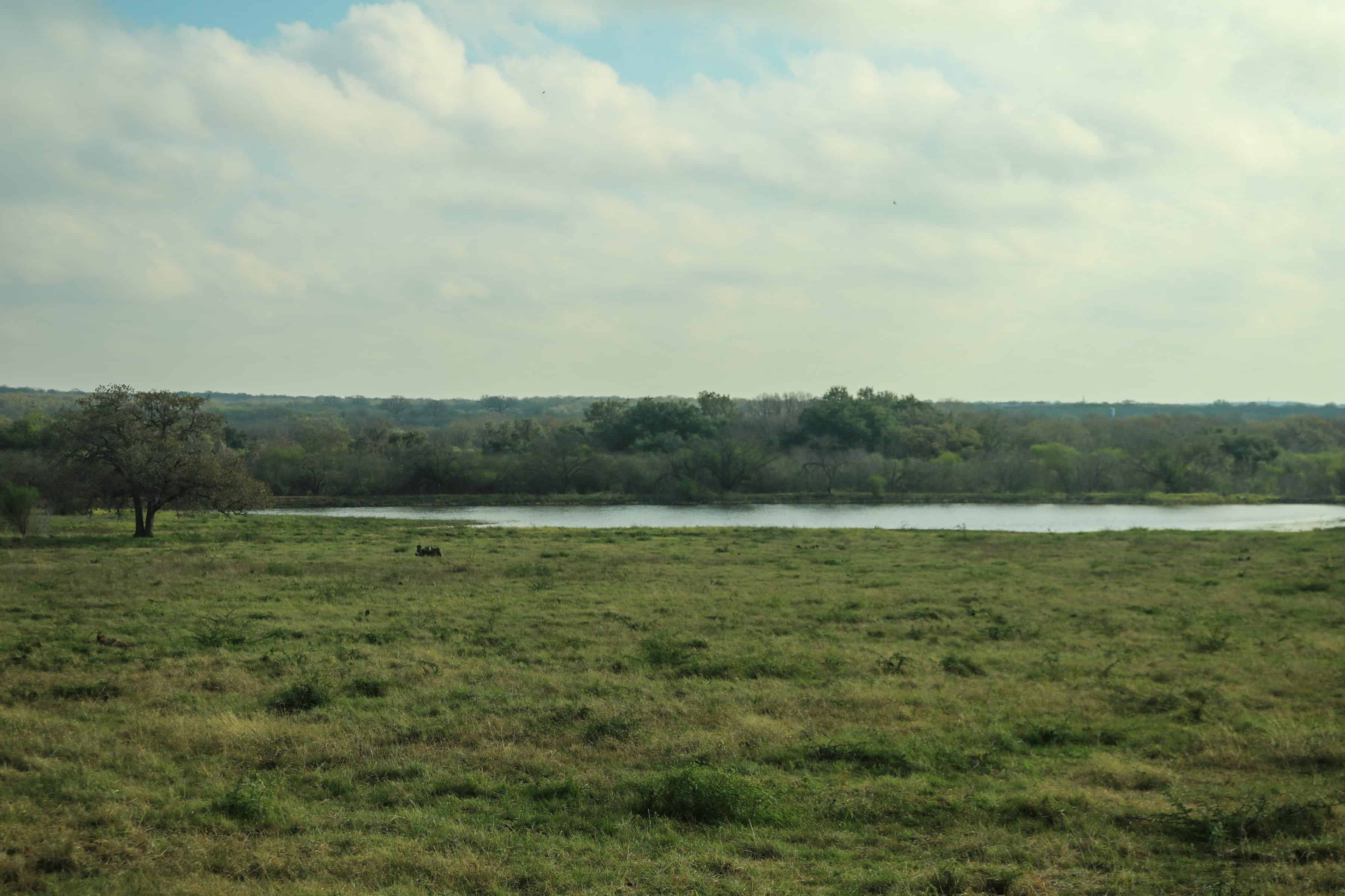Guadalupe County, Seguin, TX West and Swope Ranches