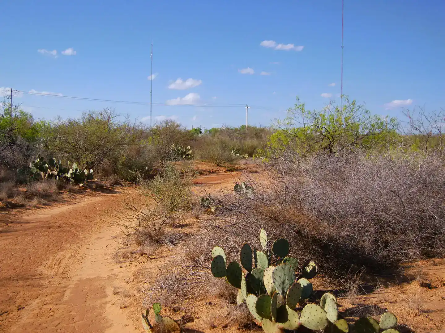 Fm 126 Carrizo Springs TX 78834