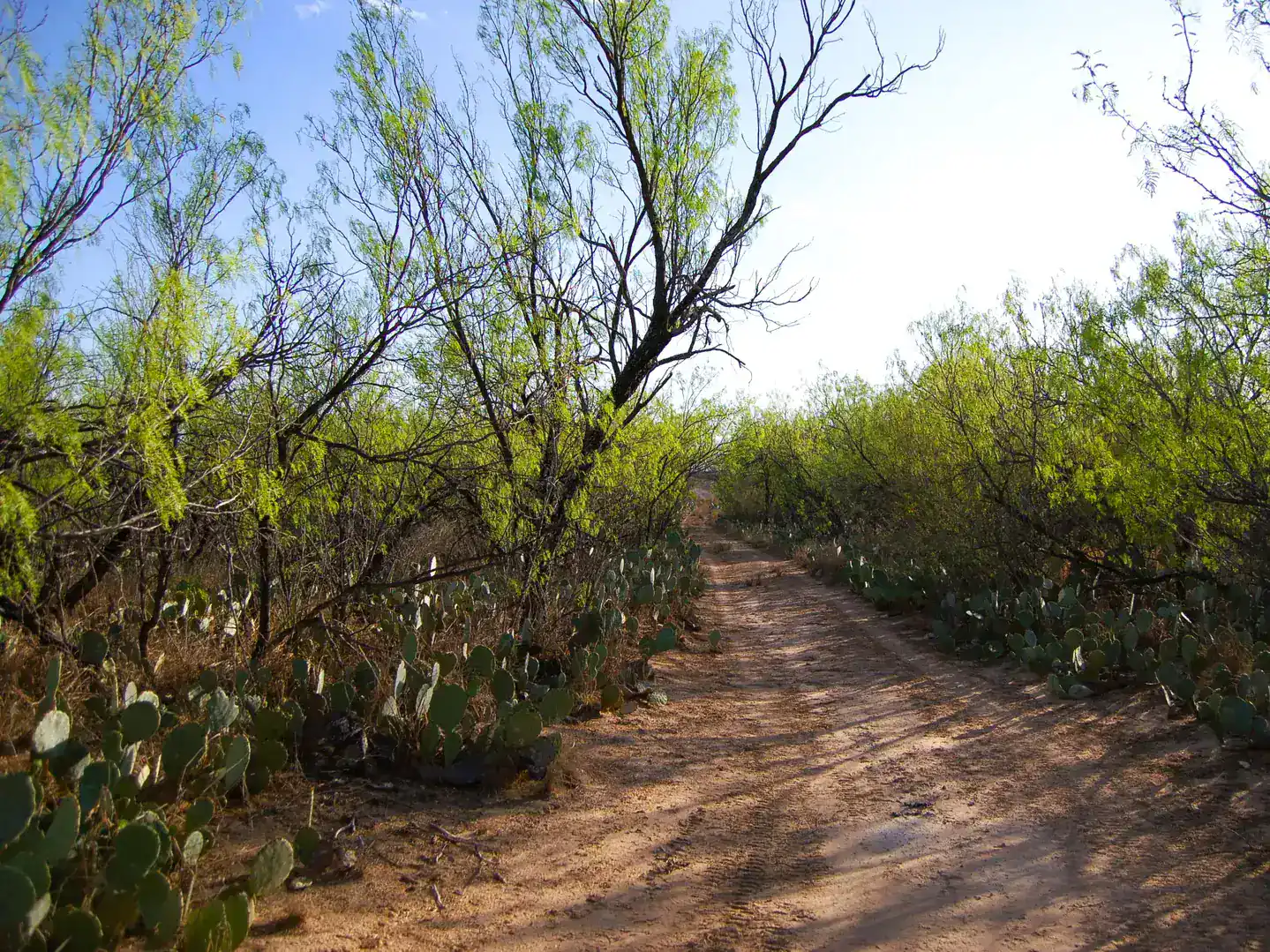 Fm 126 Carrizo Springs TX 78834