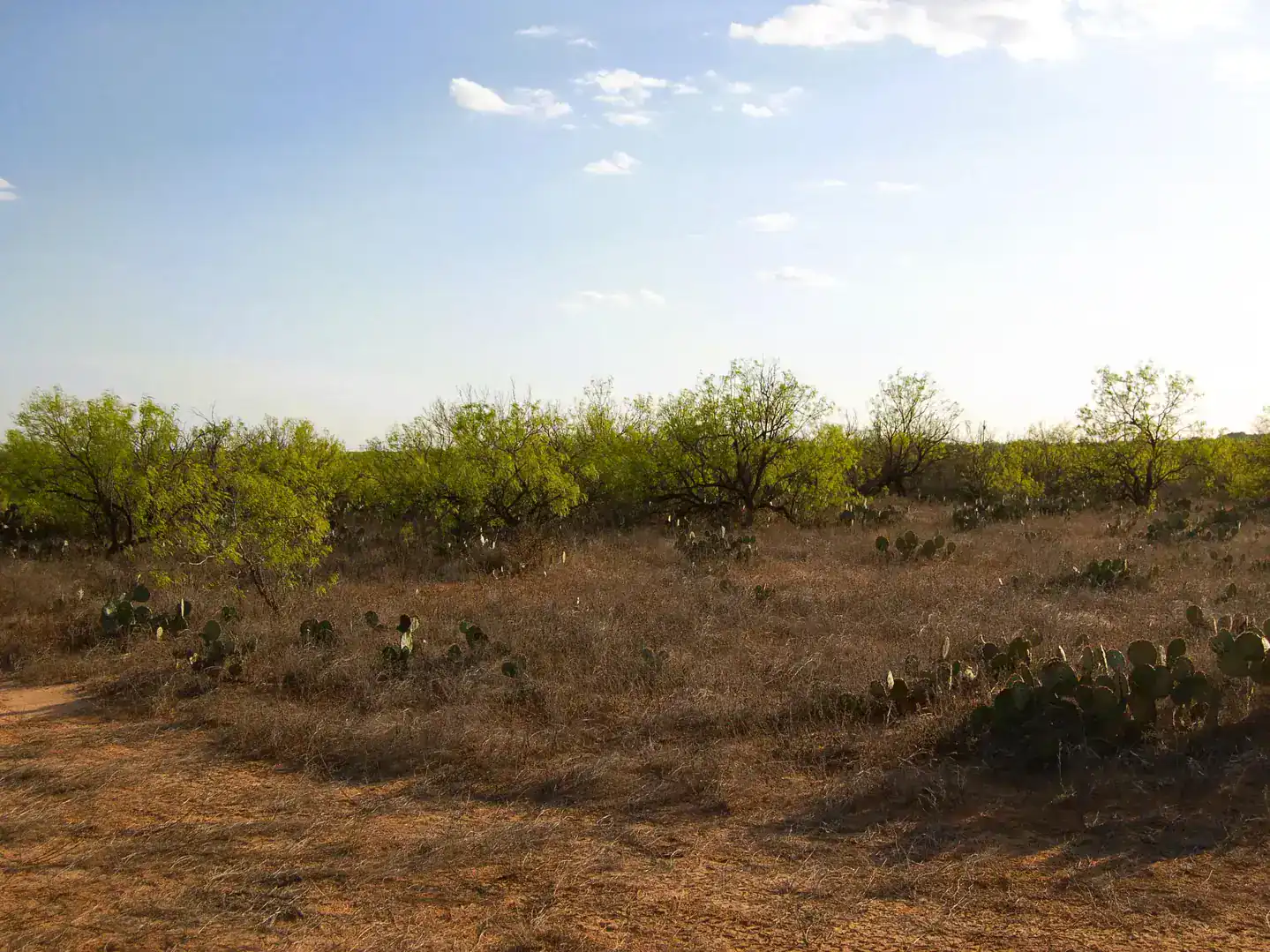Fm 126 Carrizo Springs TX 78834