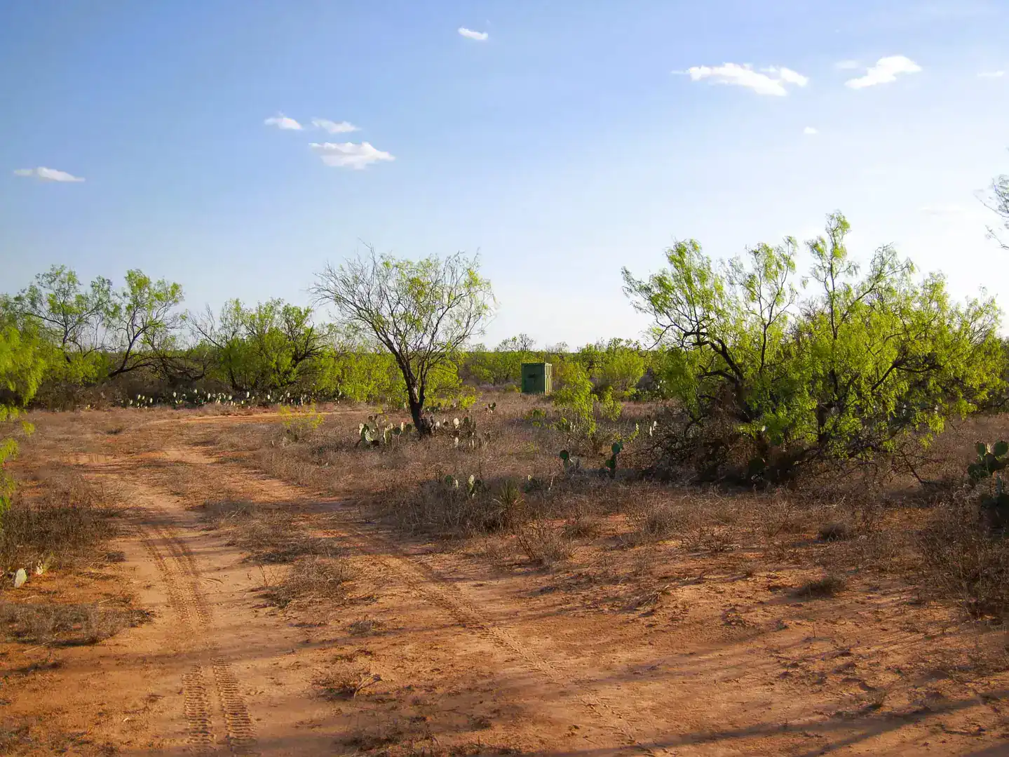 Fm 126 Carrizo Springs TX 78834