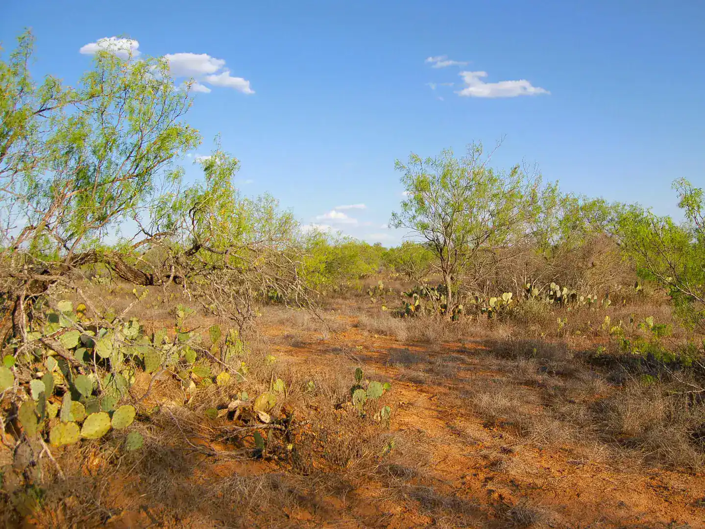 Fm 126 Carrizo Springs TX 78834