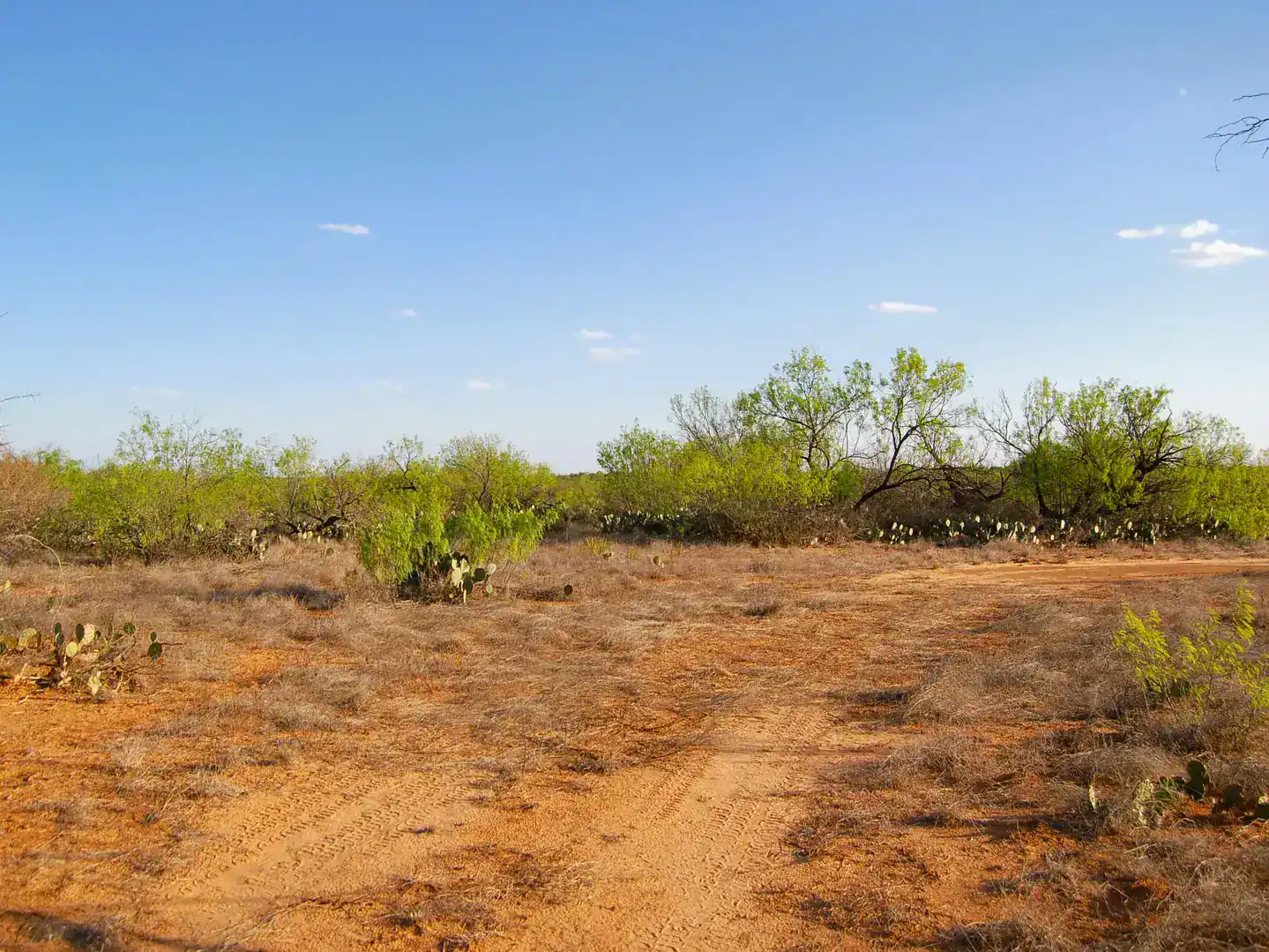 Fm 126 Carrizo Springs TX 78834