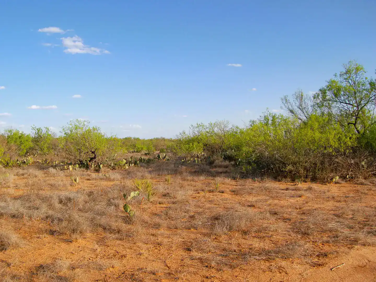 Fm 126 Carrizo Springs TX 78834