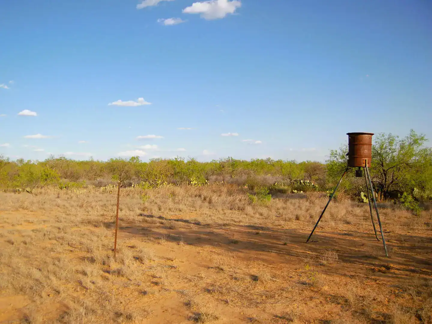 Fm 126 Carrizo Springs TX 78834