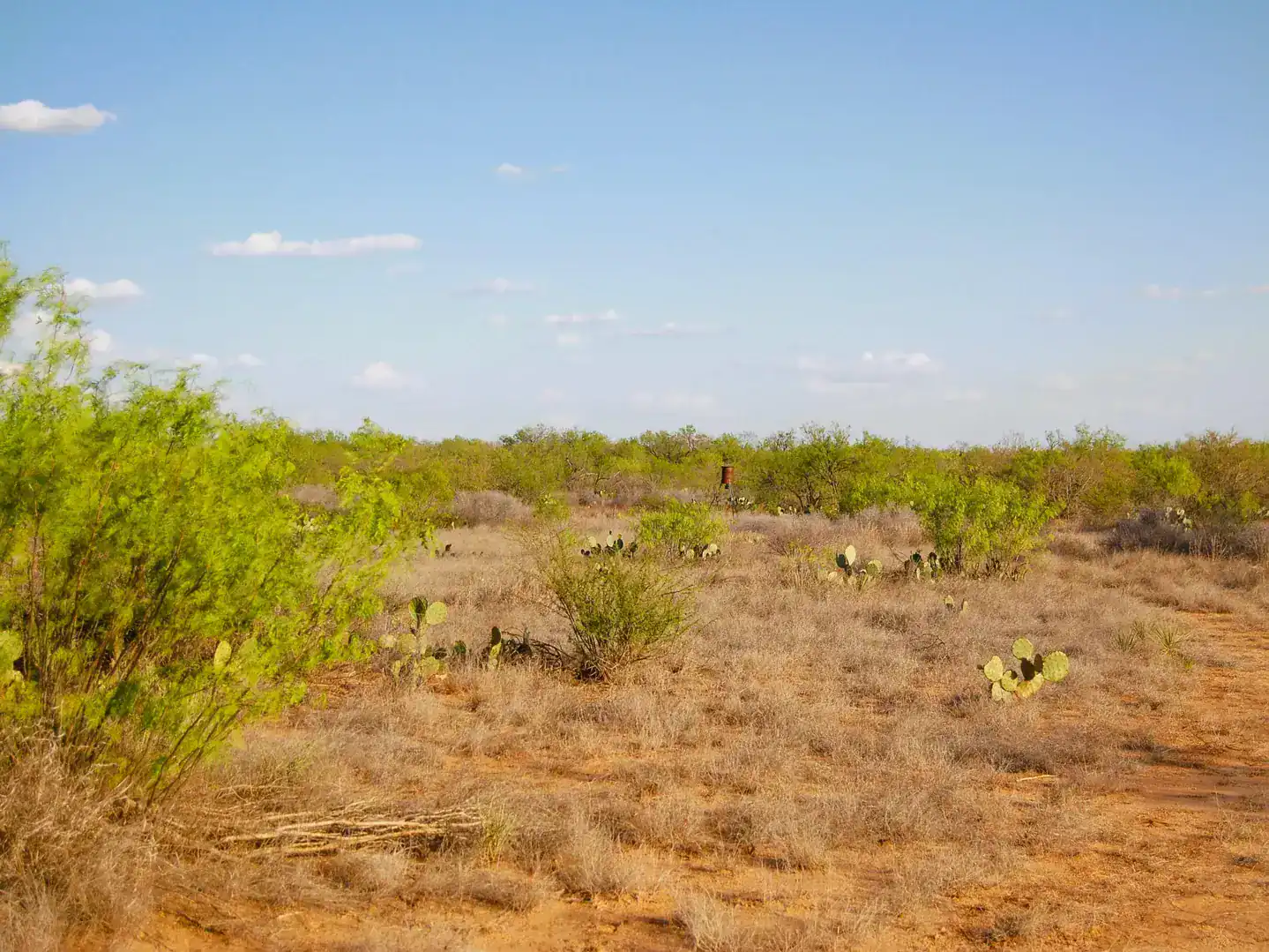 Fm 126 Carrizo Springs TX 78834