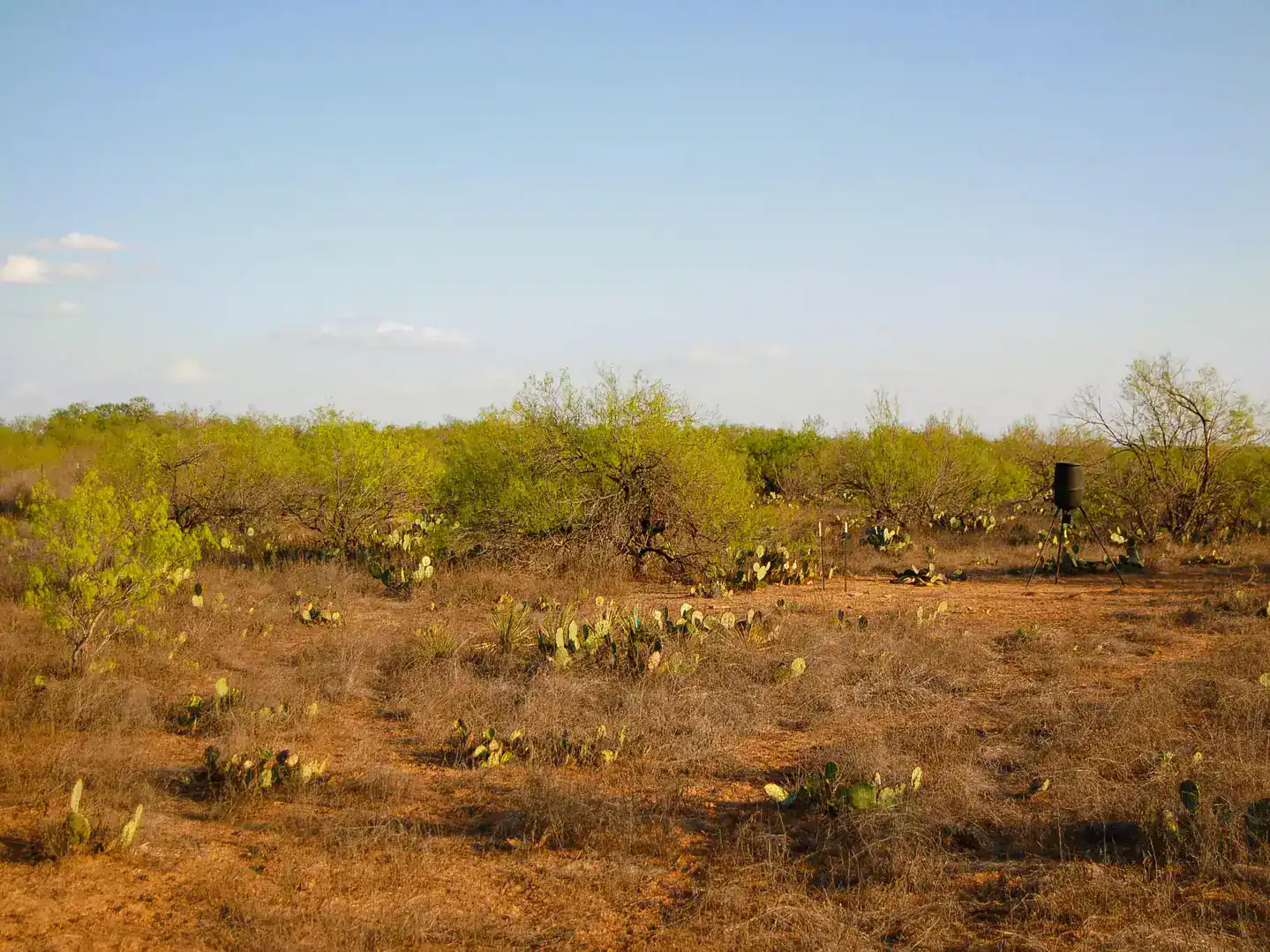 Fm 126 Carrizo Springs TX 78834